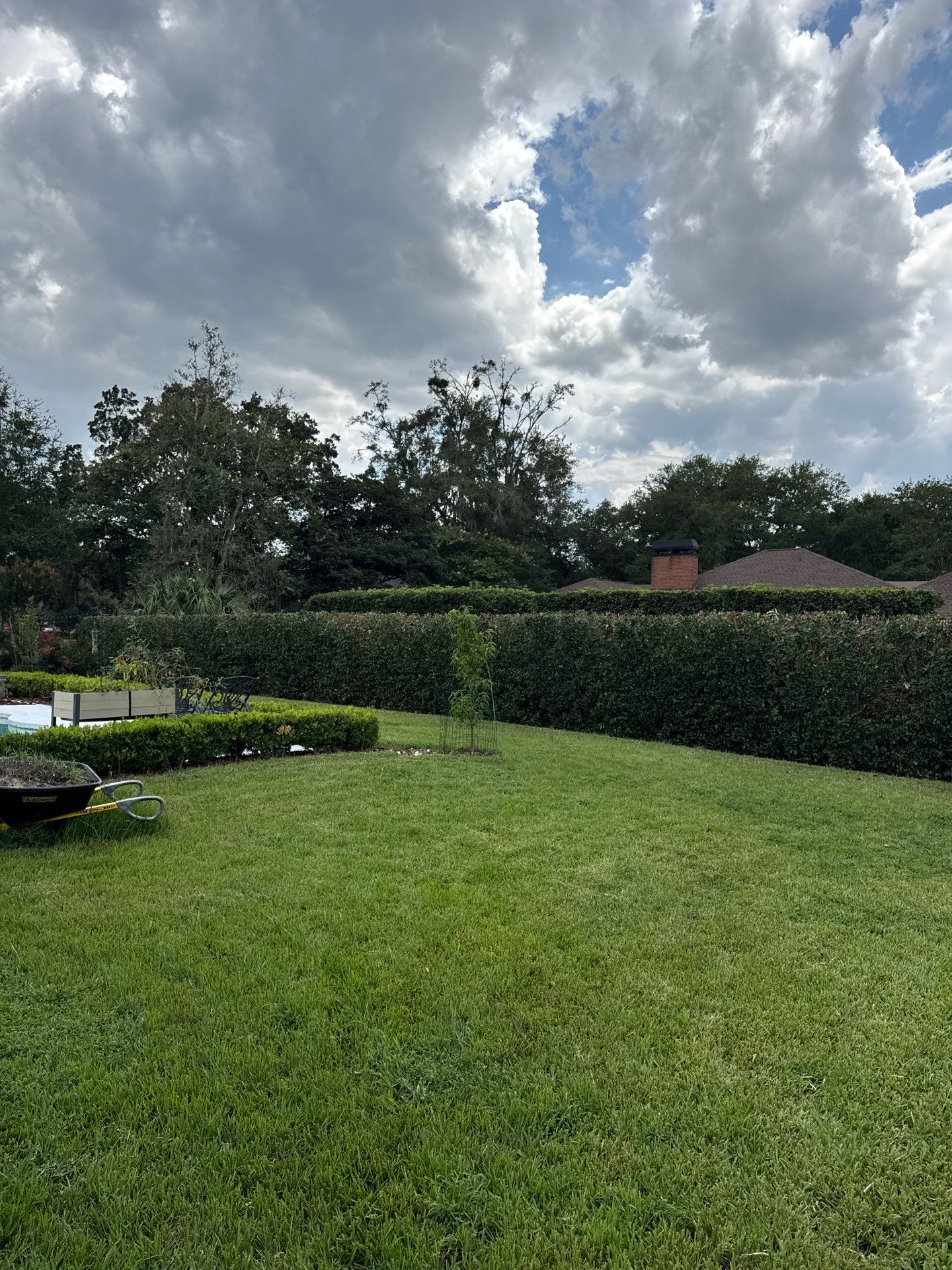 Deerwood Resident | Shrub Trimming by ProGreen Services