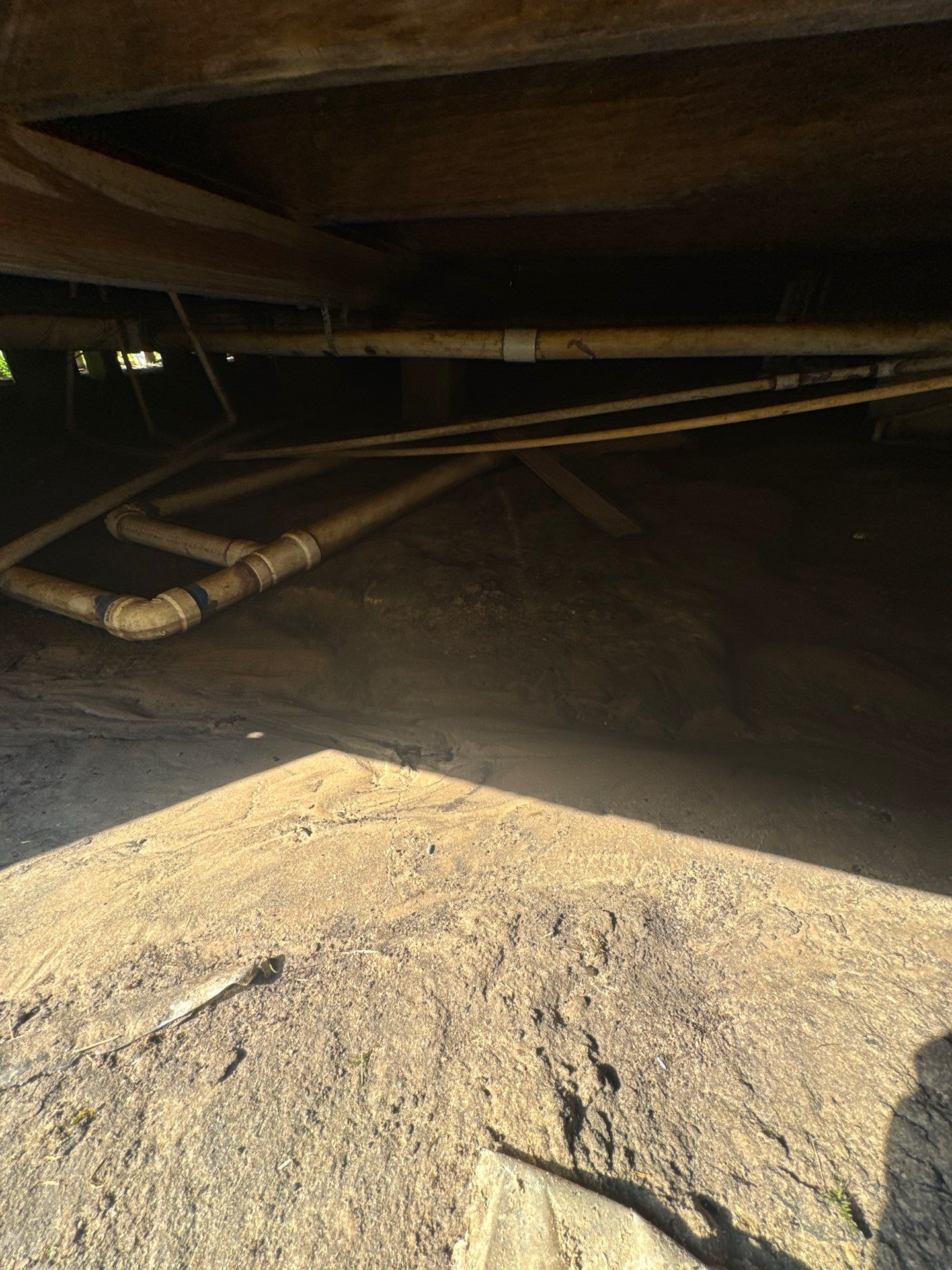 Water dry rotted flooring by Harden Enterprise Services LLC