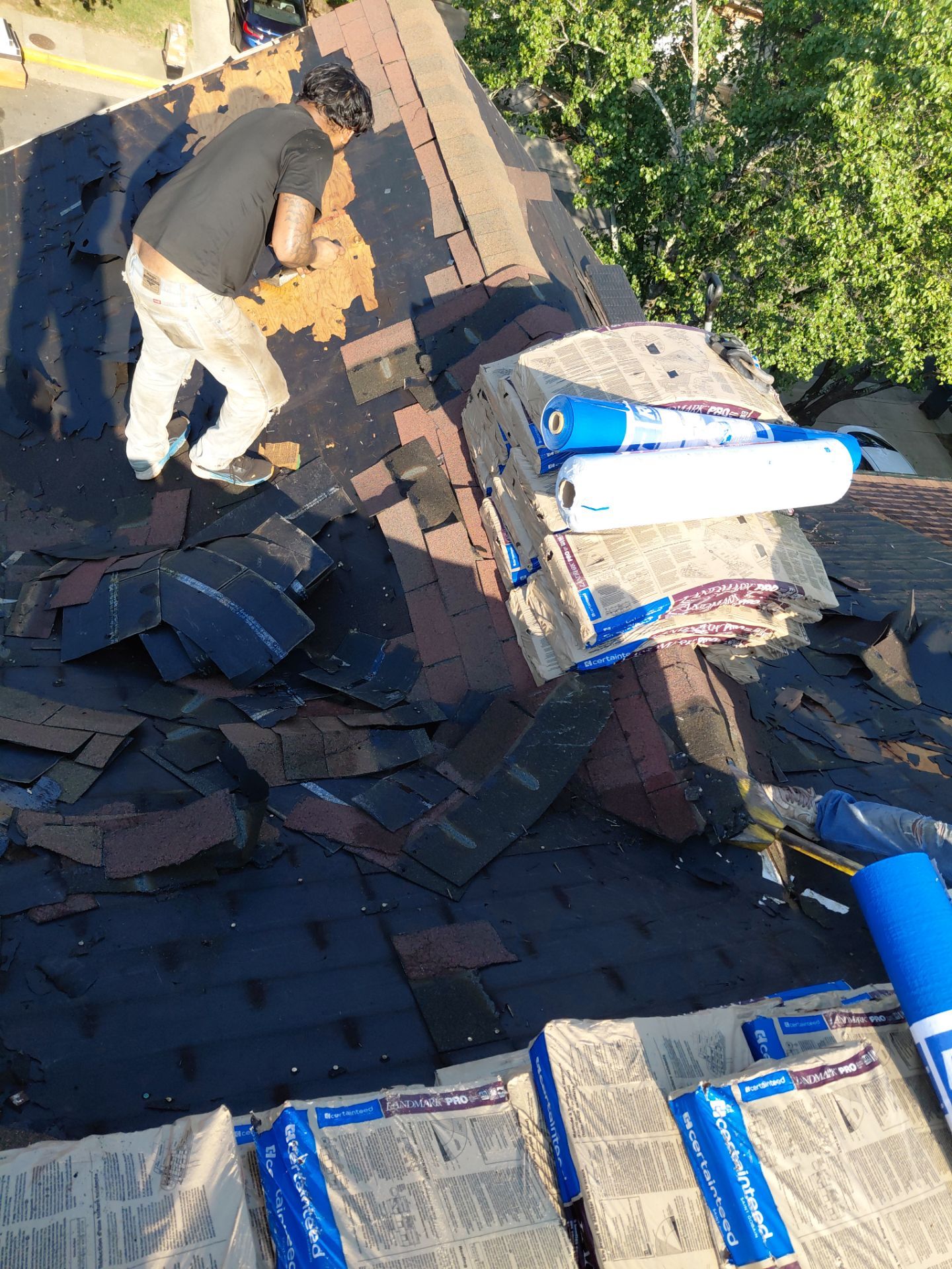 Alexandria: Residential Roof with CertainTeed Landmark Pro in Max Def Burnt Sienna by RM Banning, Inc.