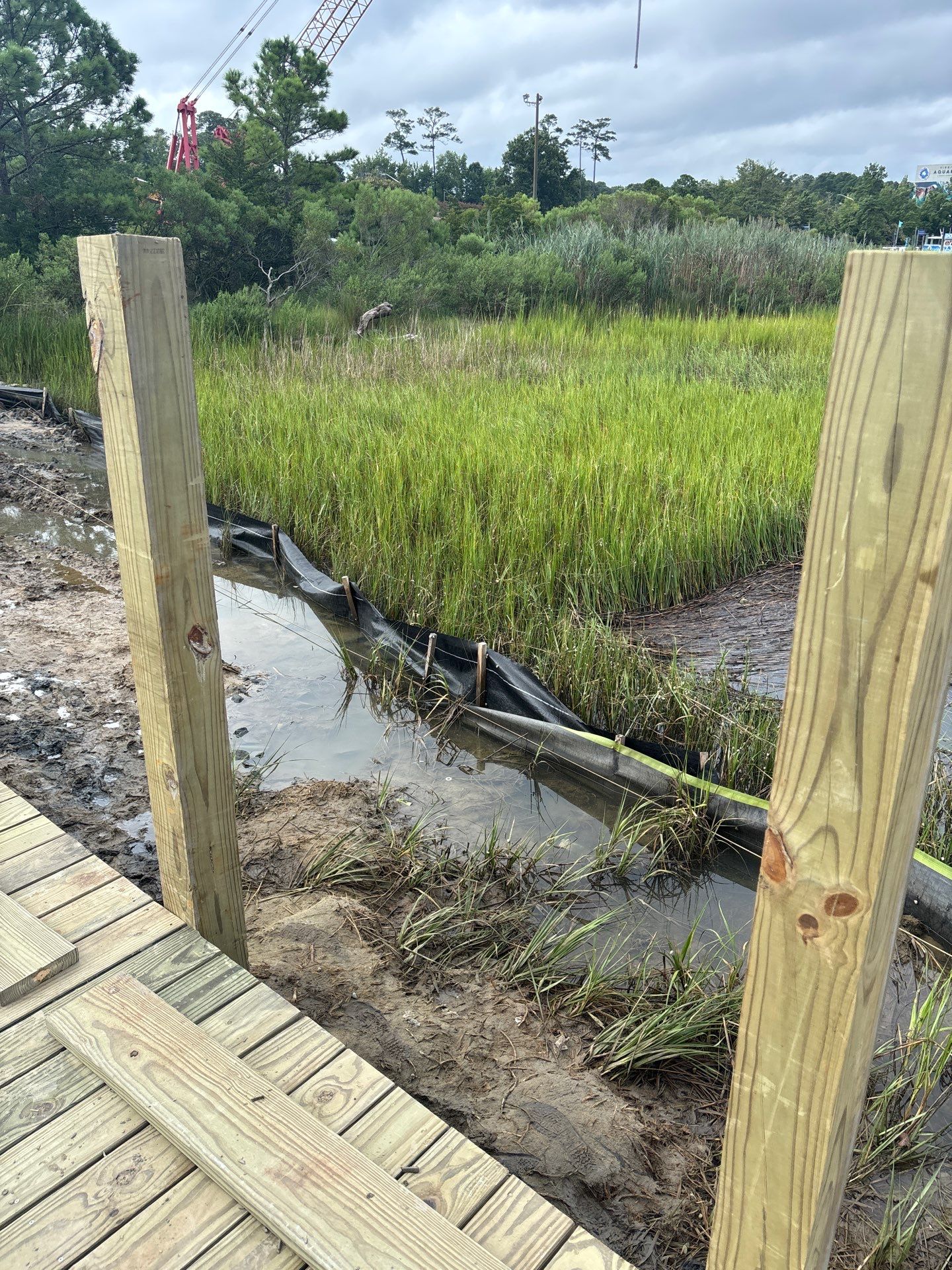 Project in Virginia Beach by Gregory Sandstrom
