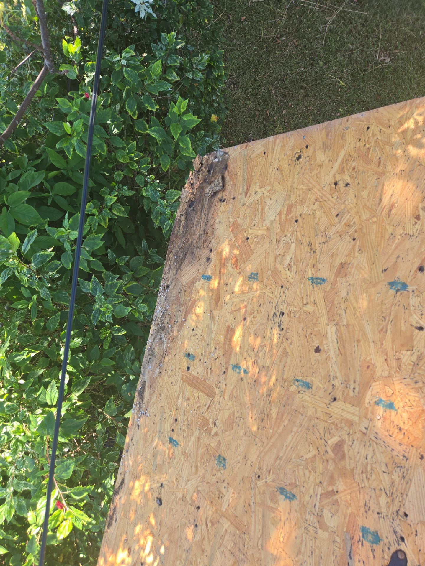 Project in St. Petersburg 33713 by Mitchell Roofing Company LLC 