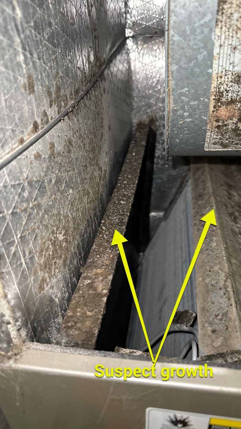 Air Duct Cleaning in Tavares by Hygienic Air, Inc