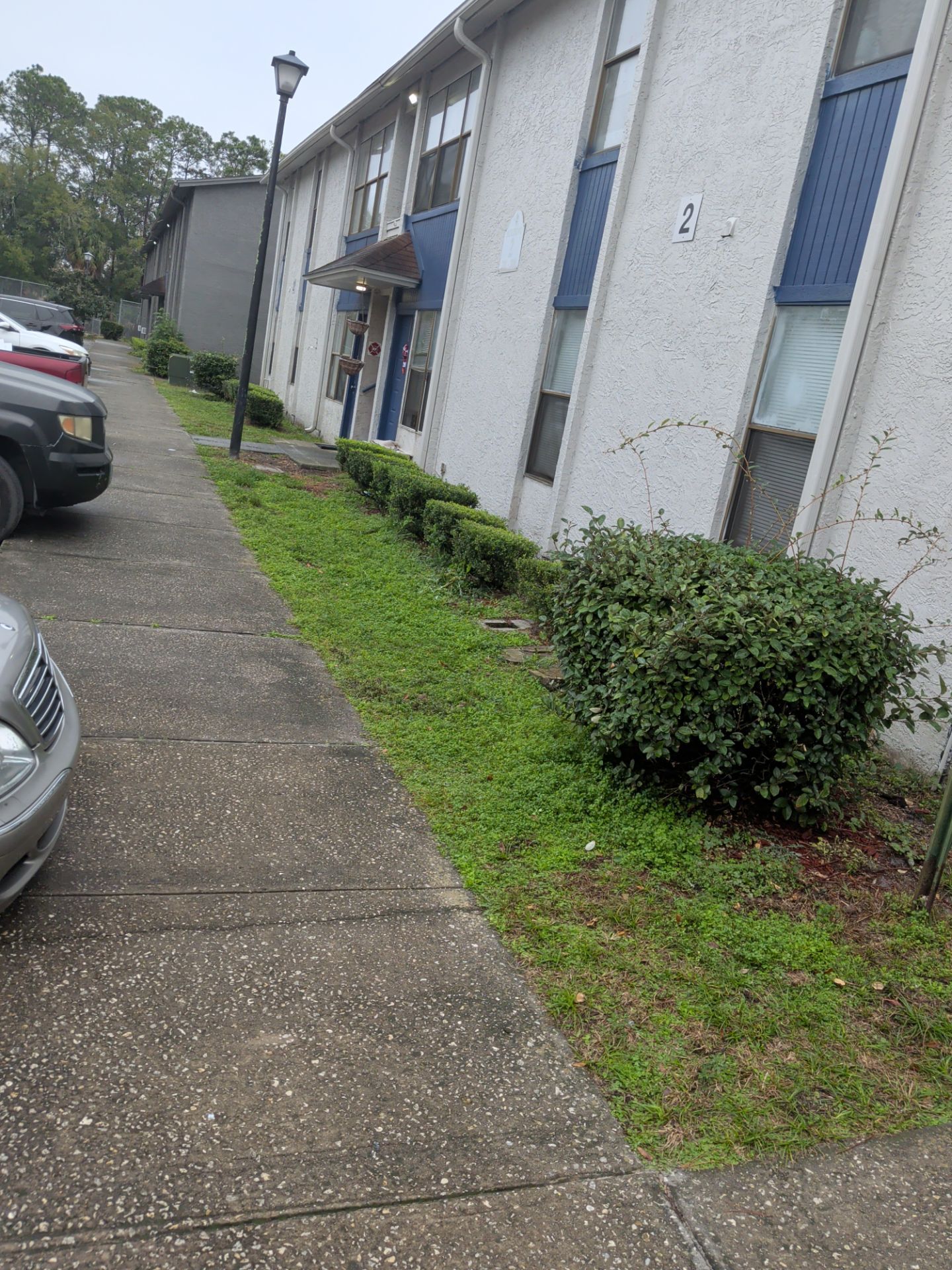 Commercial Landscape Cleanup & Weekly Maintenance — Grassy Pond Apartments by Harmoni Home Services