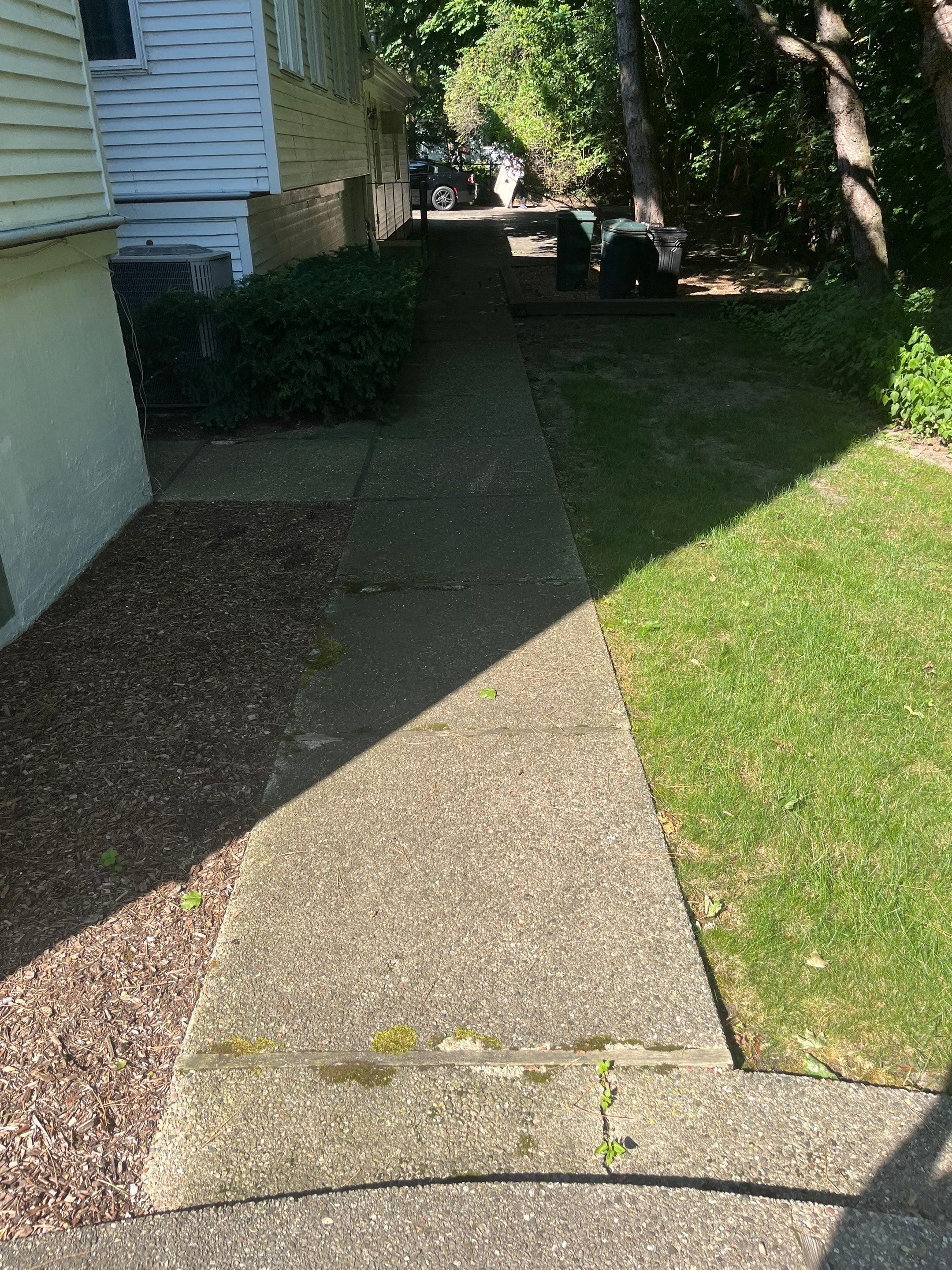 Housewashing  using Algaecide, soft wash soap by Northern Power Washing LLC.