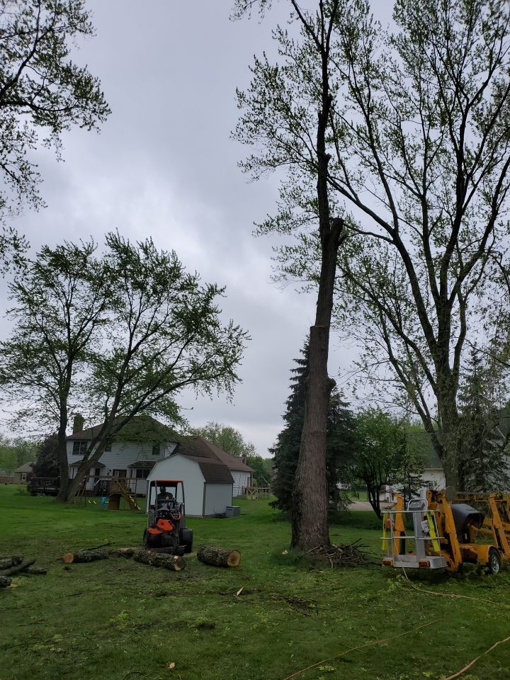 Tree Removal using Tree Removal by Mike Jones & Sons Tree Service LLC 