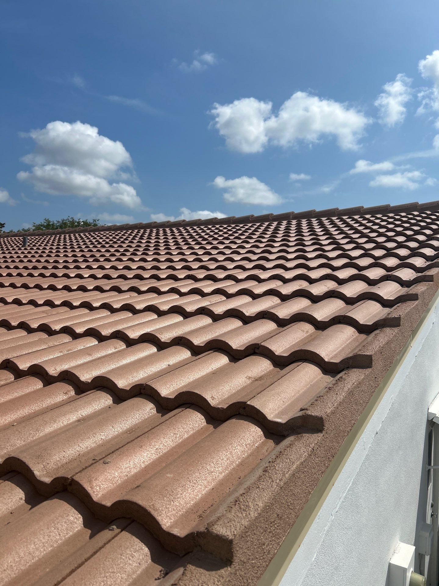 Project in Pinellas Park 33782 by Mitchell Roofing Company LLC 