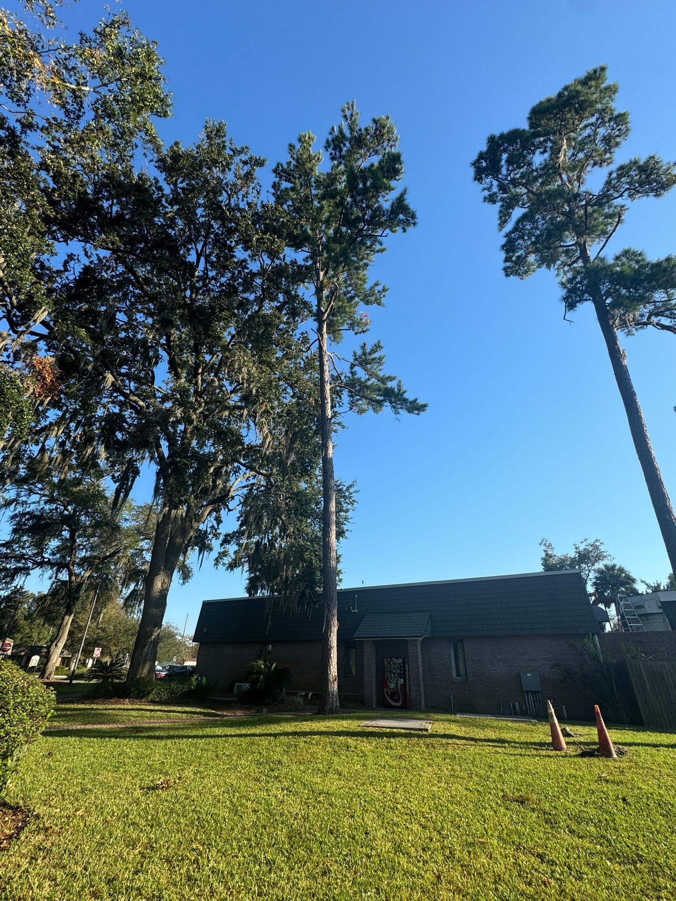Volunteer Work | Episcopal High School of Jacksonville by ProGreen Services