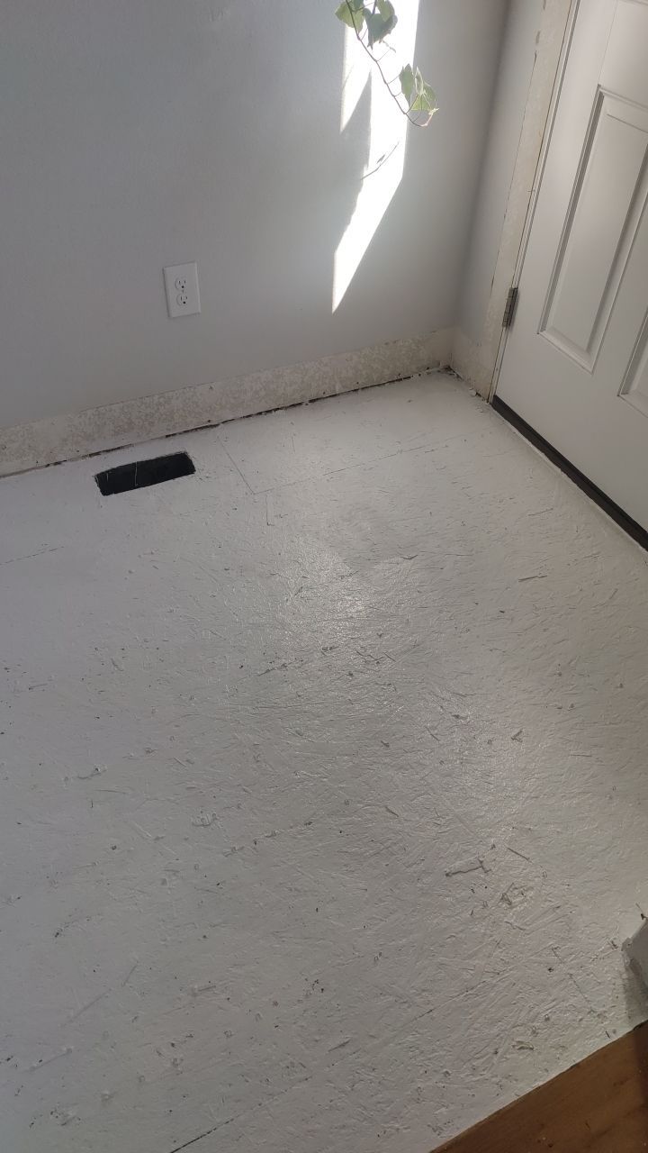 Mold Remediation  by Accountable Home Services