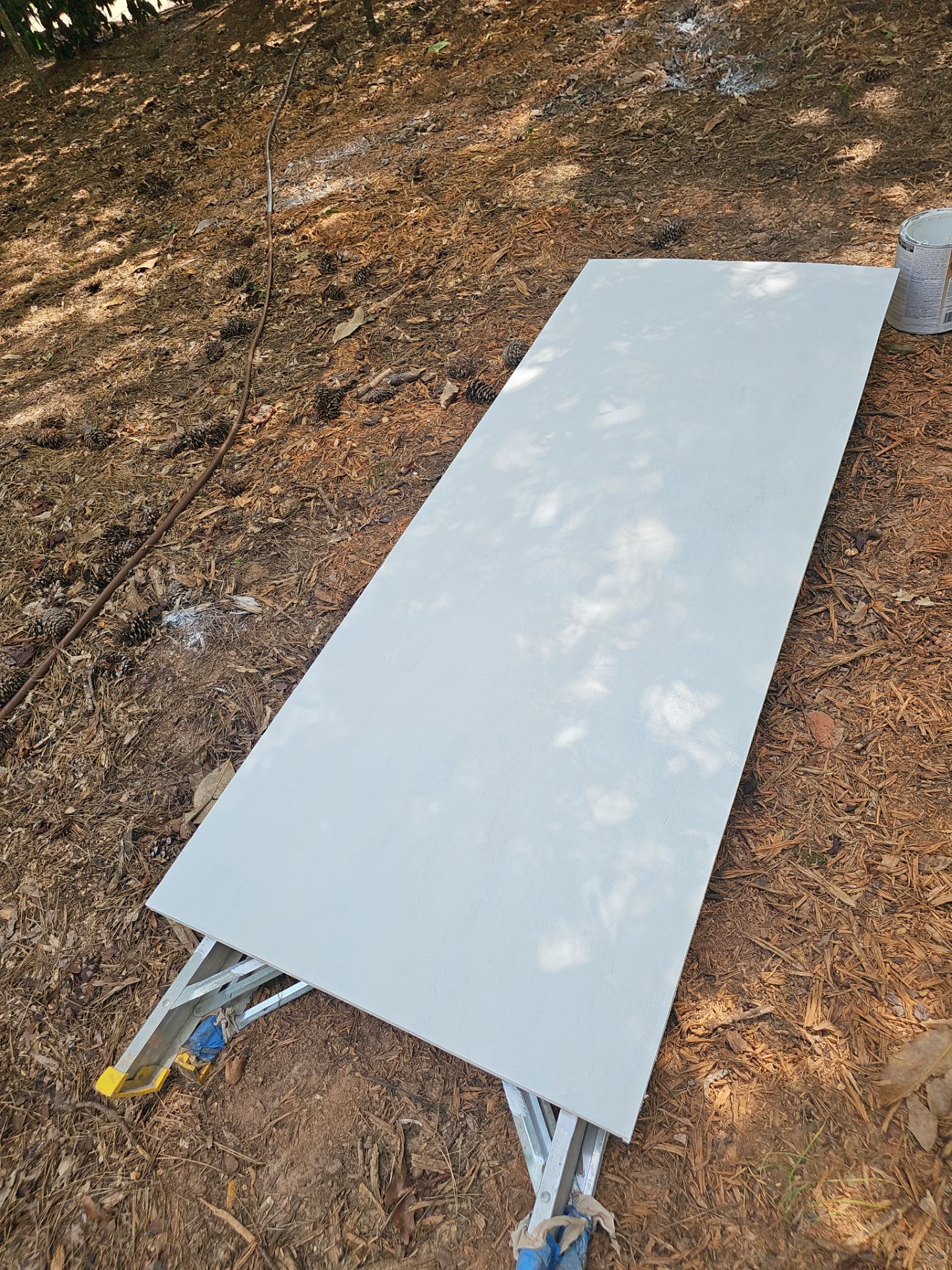 Exterior Transformation in Jonhs Creek by Atlanta's Paint Doctor