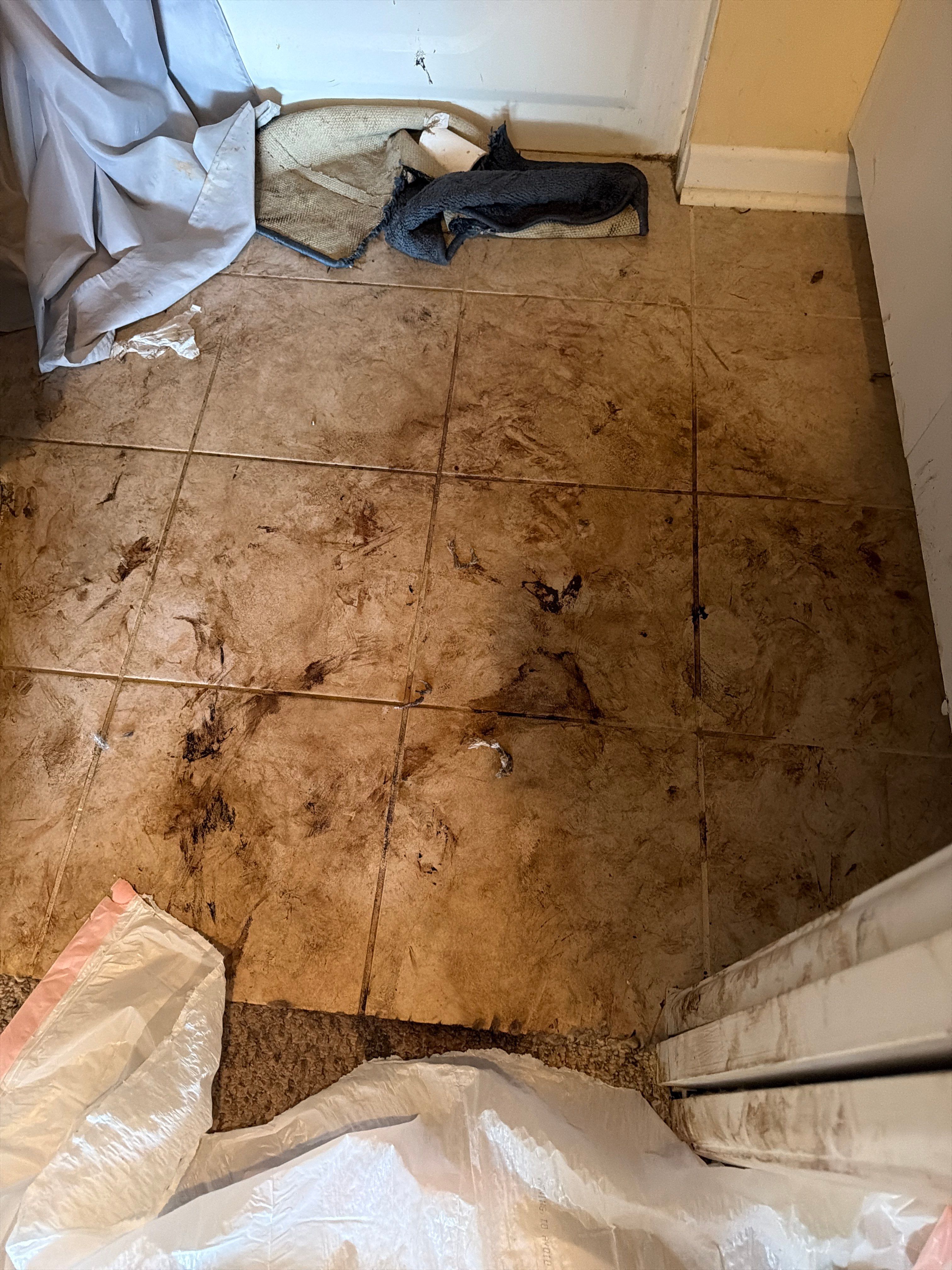 BIO CLEANING by SuperClean 