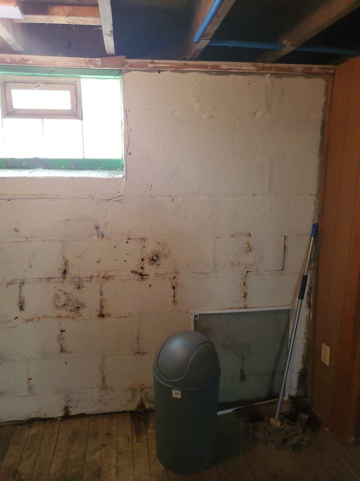 Tree Removal using Tree Removal by Mike Jones & Sons Tree Service LLC 