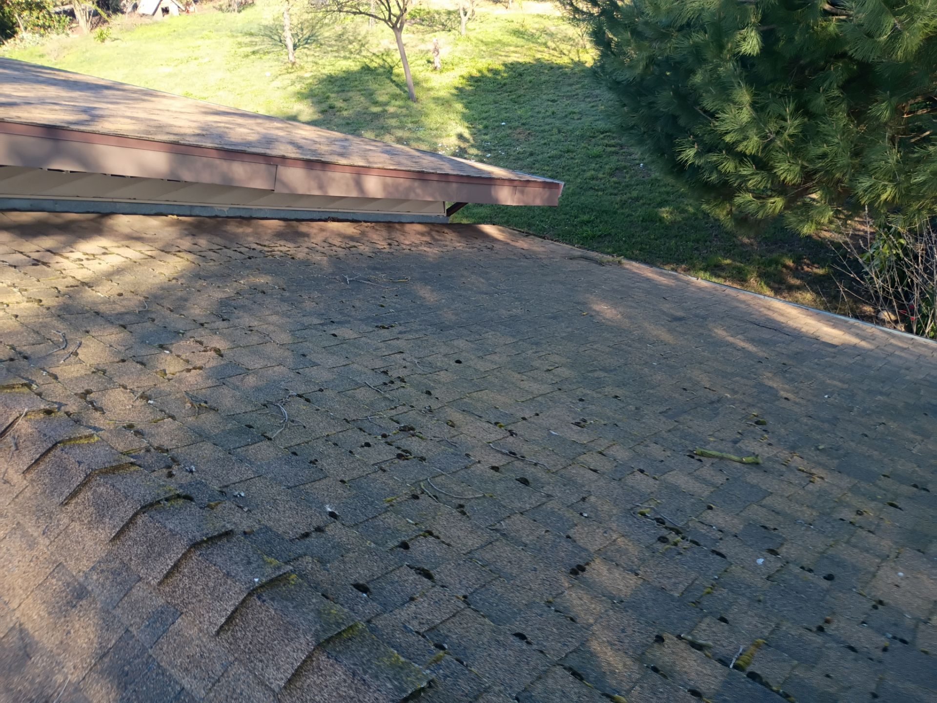 Roof Rejuvenation using Roof Maxx Treatment by Roof Maxx of Folsom