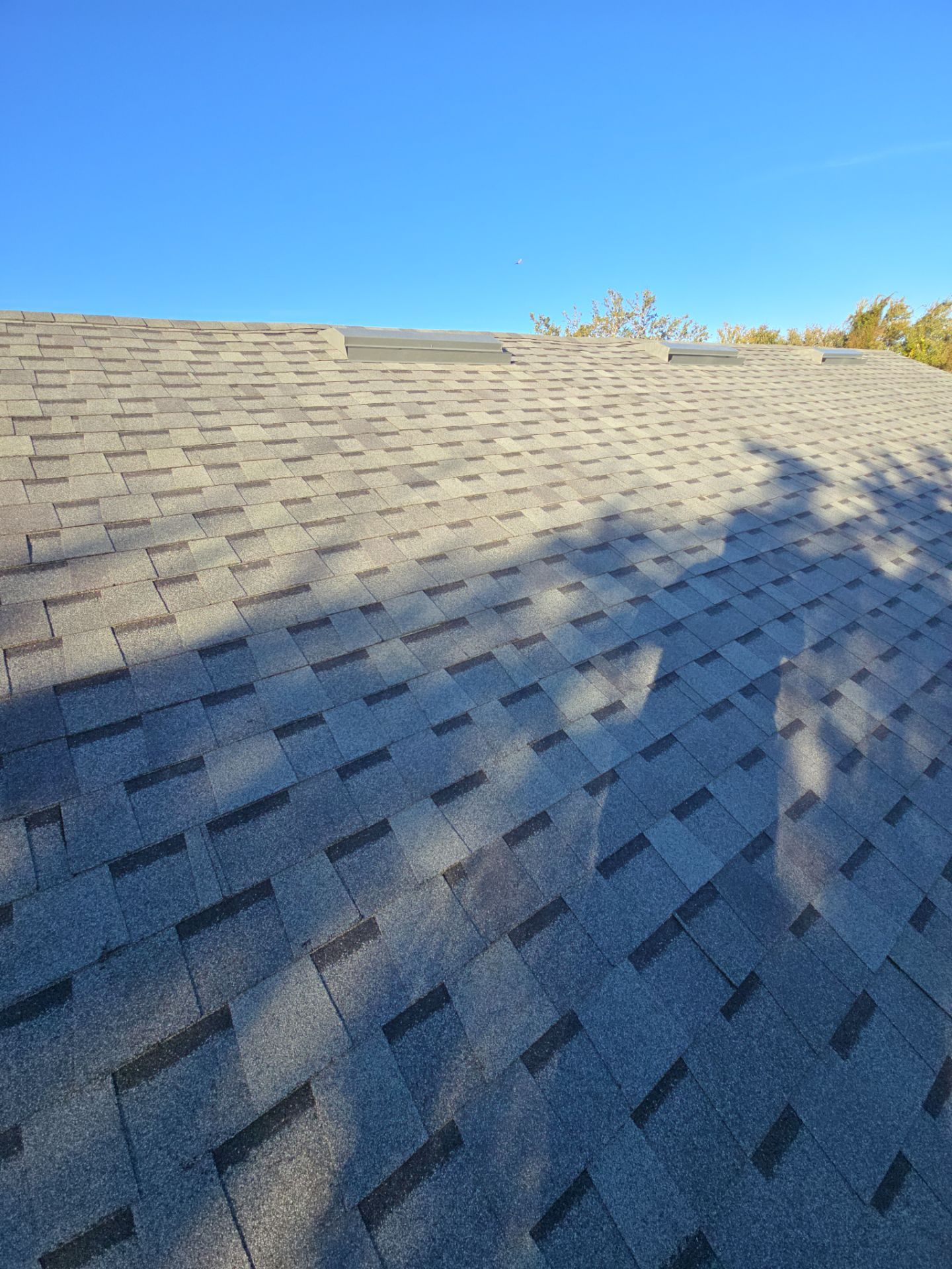 Atlas Pinnacle Pristine Architectural Shingle Roof Replacement in Kissimmee by Fortified Roofing Solutions Corp.