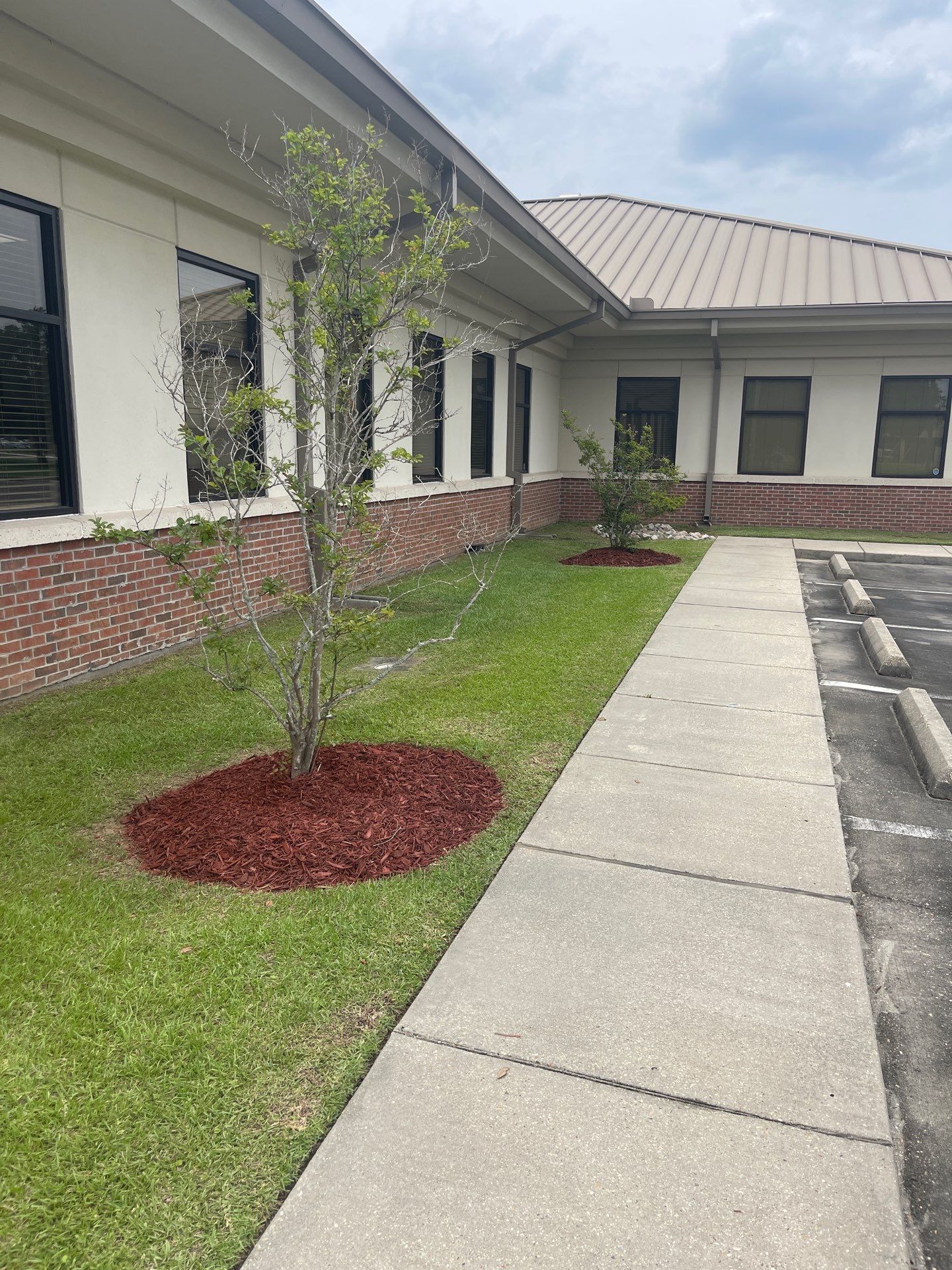 COMMERCIAL: BED CLEAN / MULCH INSTALL  by CutScape, LLC.