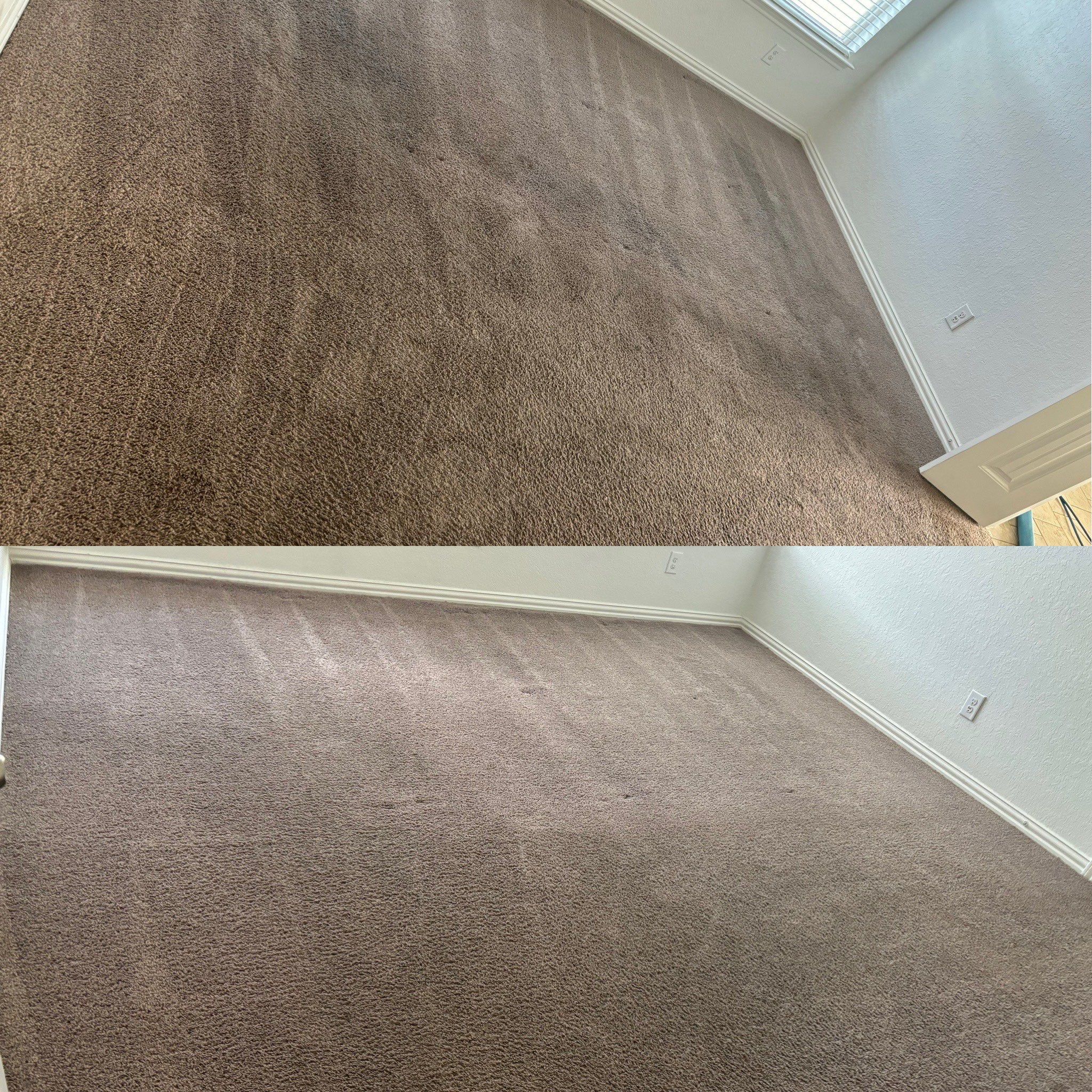 the carpet is being professionally cleaned to remove dirt and stains for a fresh and restored appearance