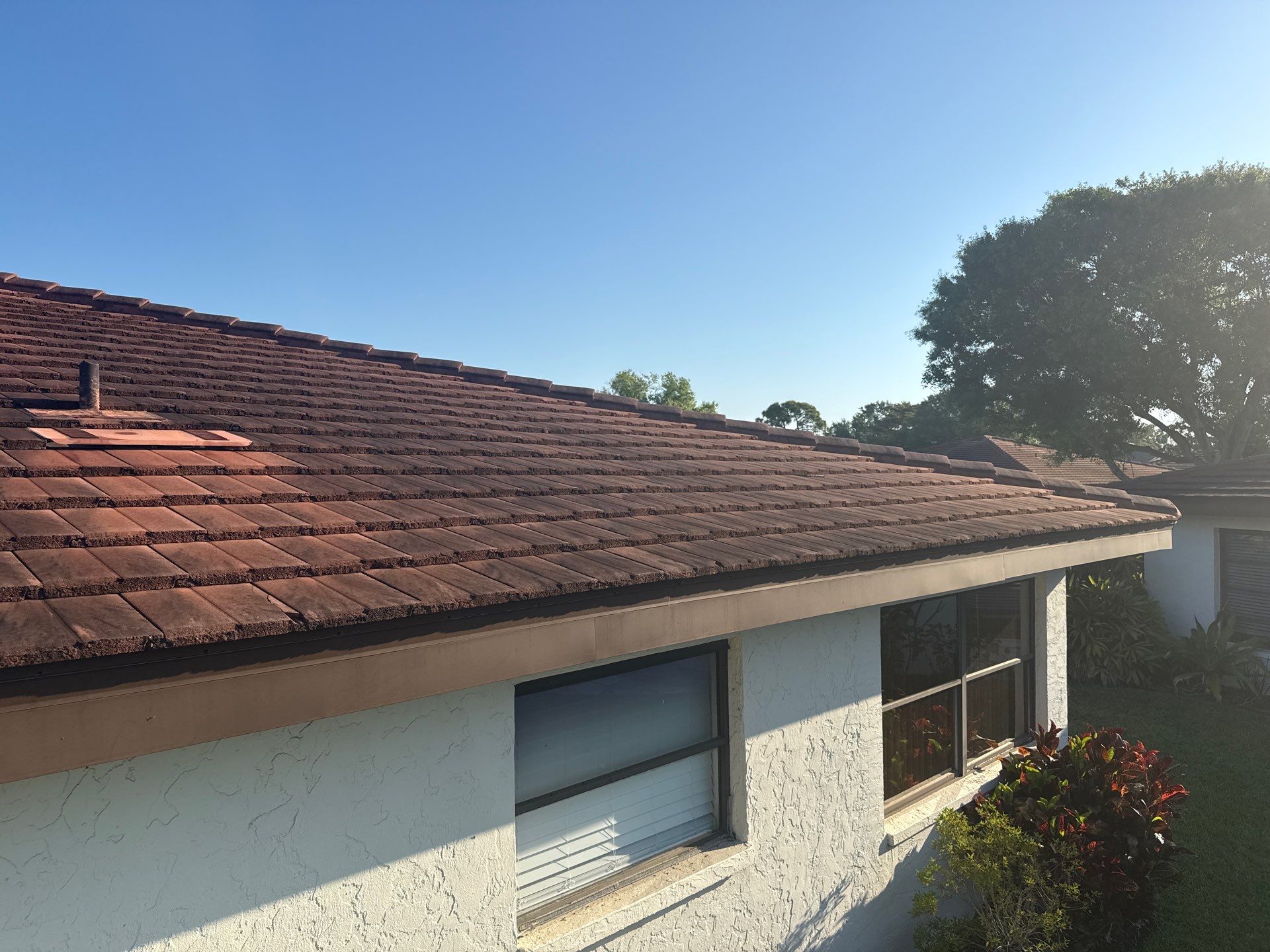 Tile Roof Cleaning – Vivenda at Bradenton I (5-Star Review & Plant Protection) by Sunshine AquaWash