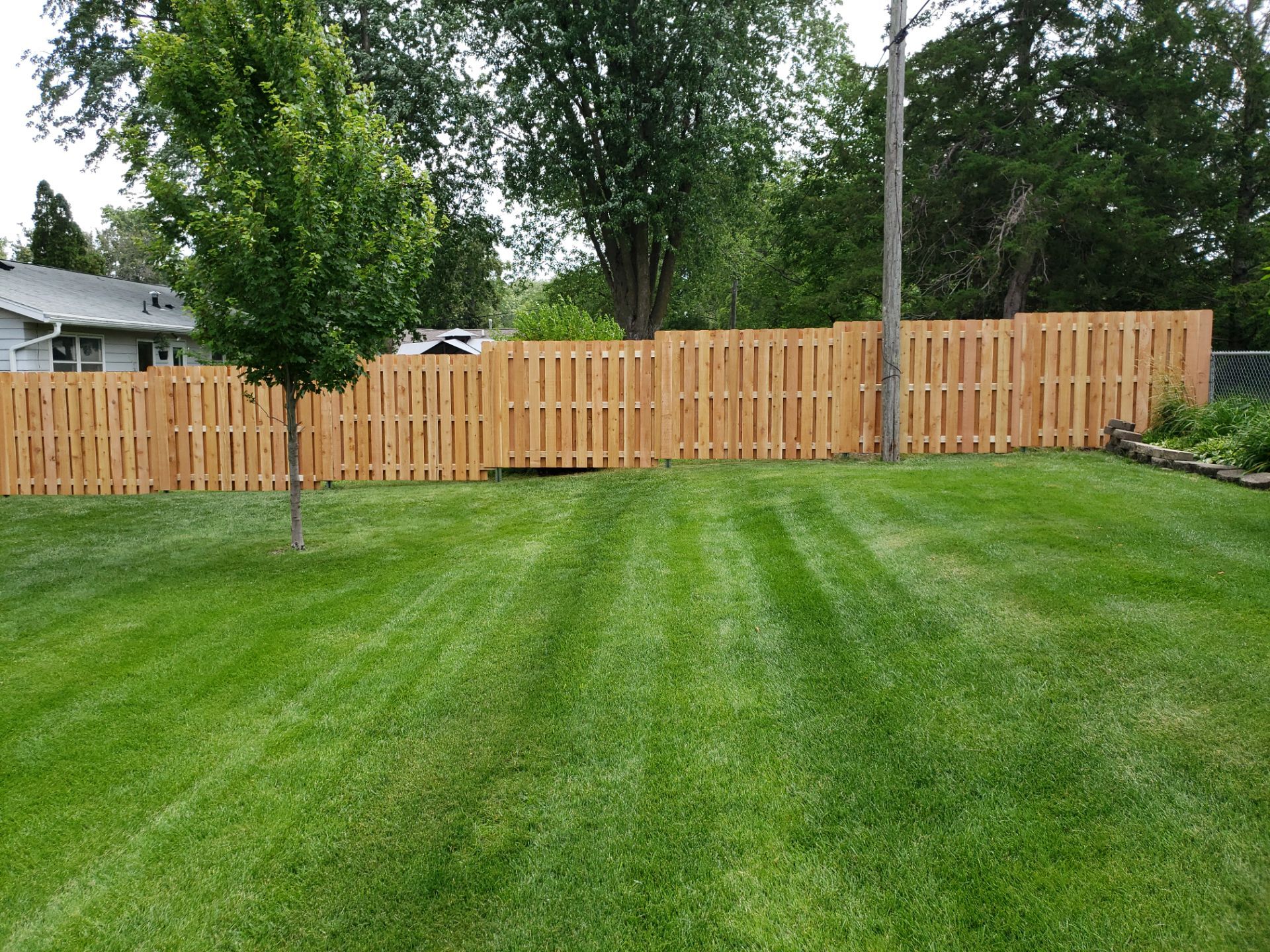 Unstained Cedar Wood Privacy Fence Installation in Cedar Falls by Perfect Picket Fence and Stain