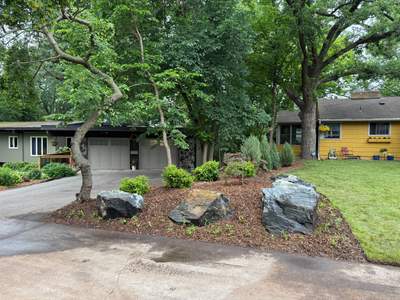 Landscape Renovation