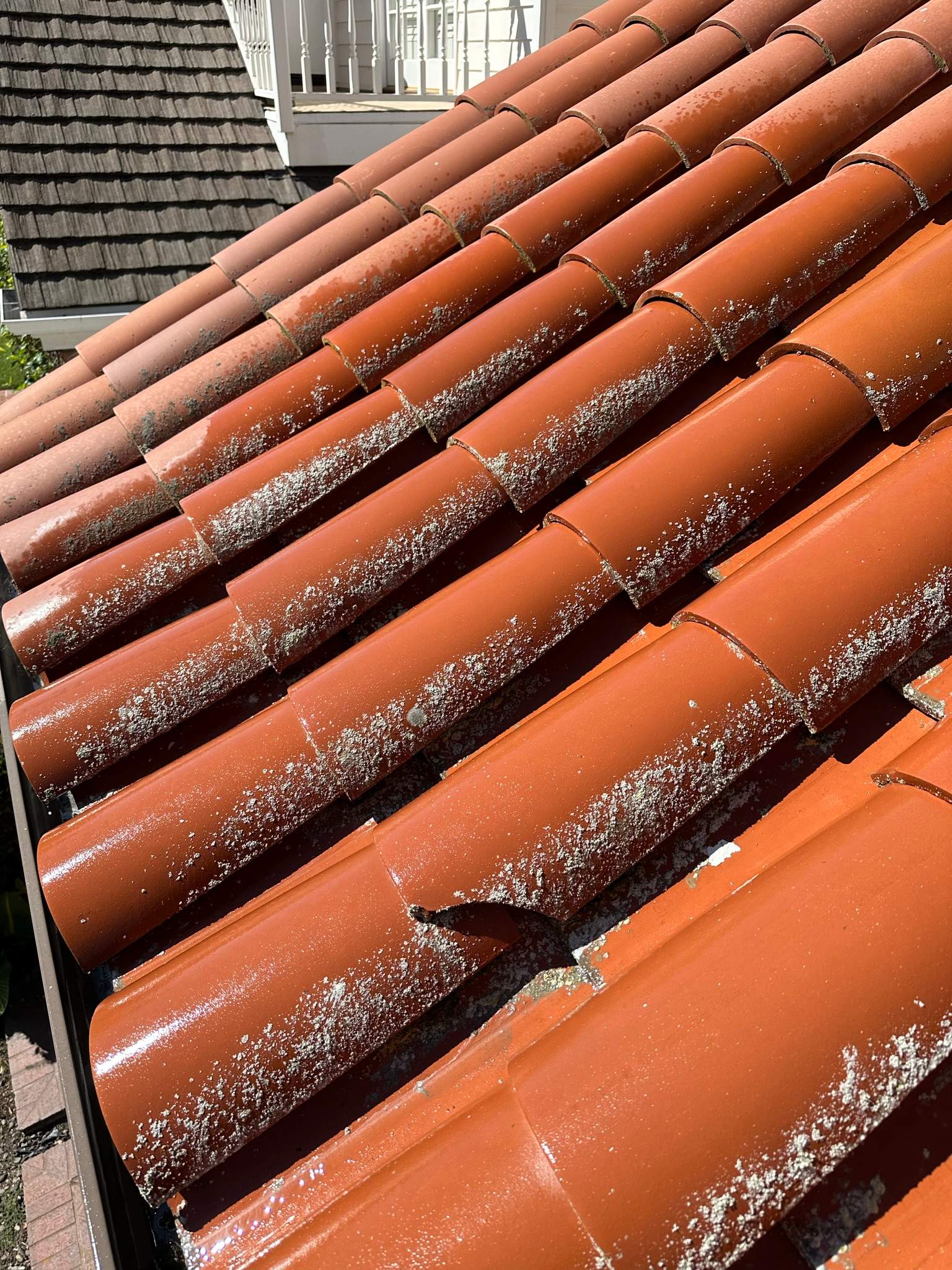 Orange County Clay Tile Roof Soft Wash on Unwalkwable Roof by Property Cleaning Experts