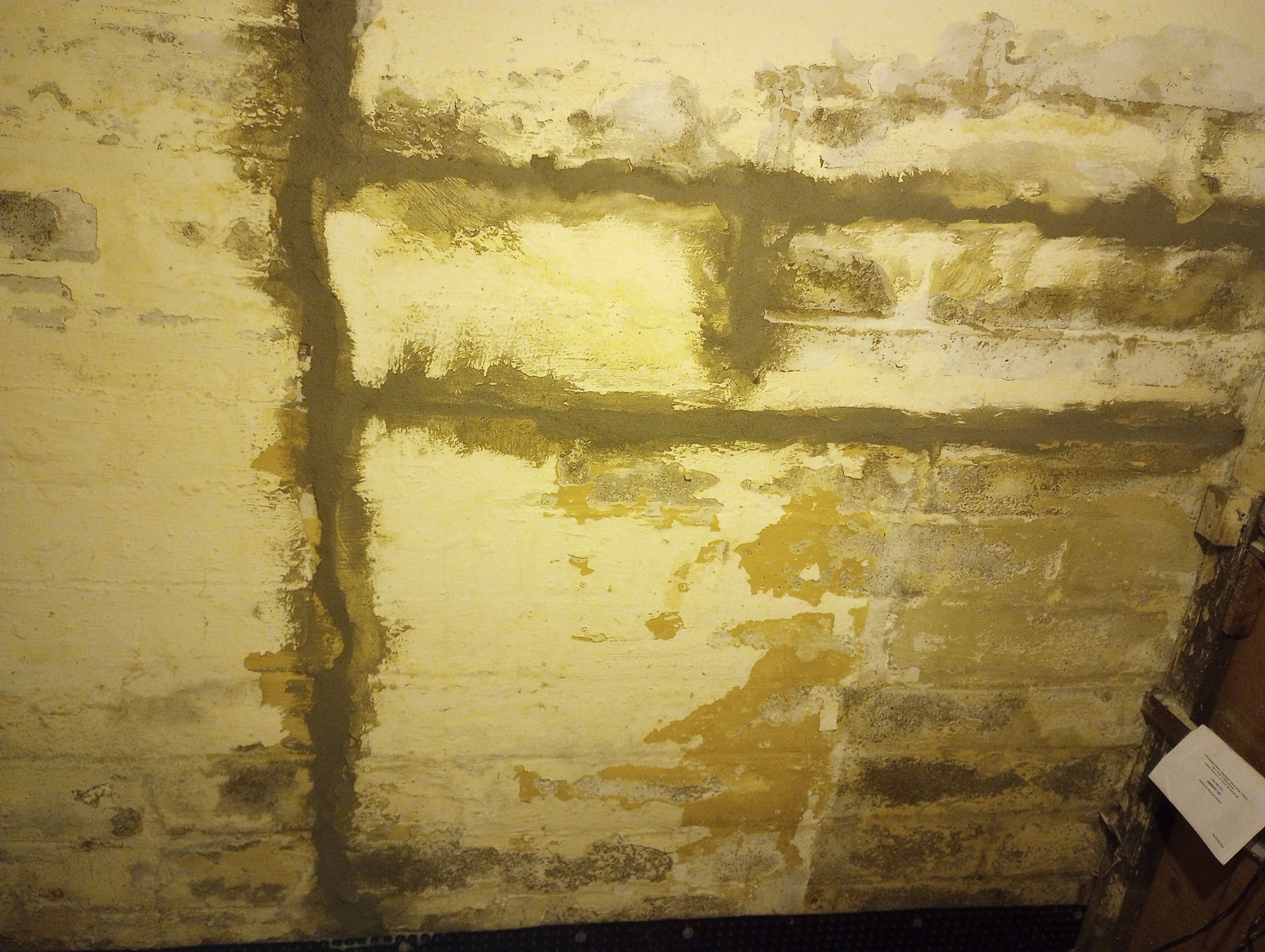 Earning Robbin’s Trust with Quality Waterproofing by Waterproofing Northeast