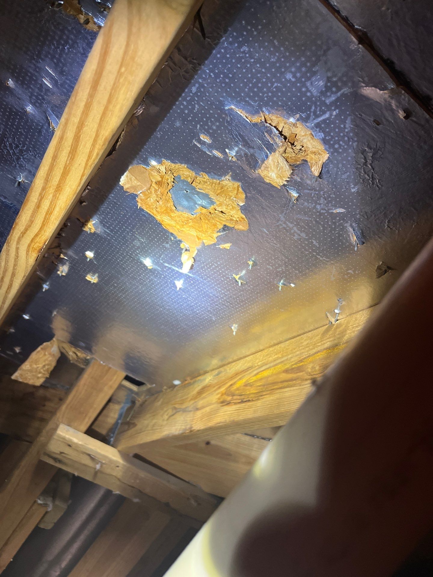 Hail Damage using Owen's Corning Duration (Lifetime) Shingles by Roof Repair Company