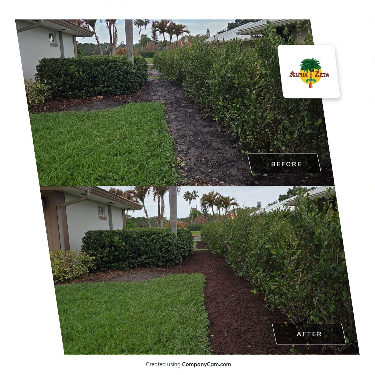 Pipers Landing Hedge Revival by Alpha Zeta Enterprises Inc