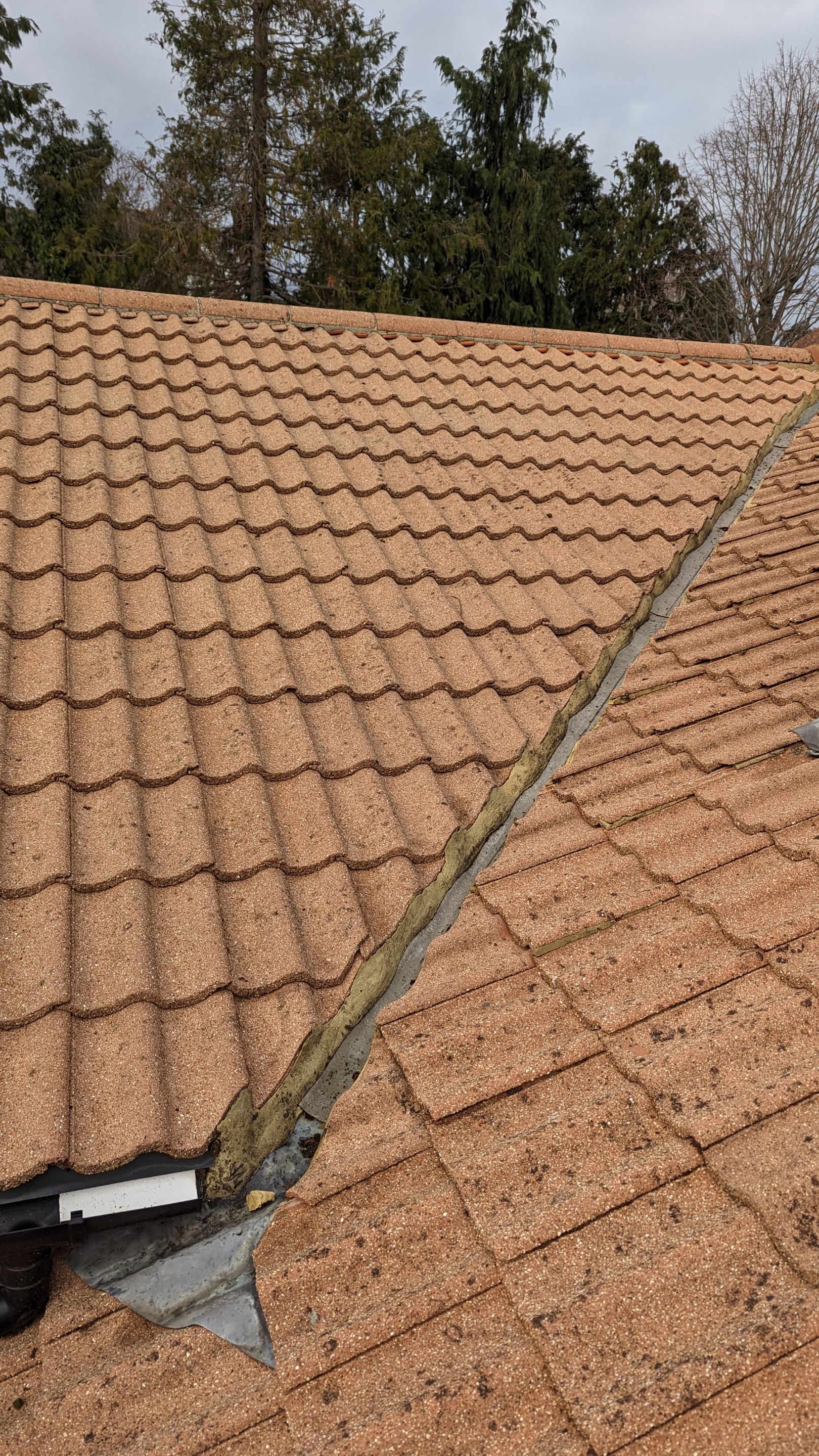 Roof and Driveway Clean using Honda 15lpm Low Pressure Washing Machine by Ges Exterior Cleaning ltd