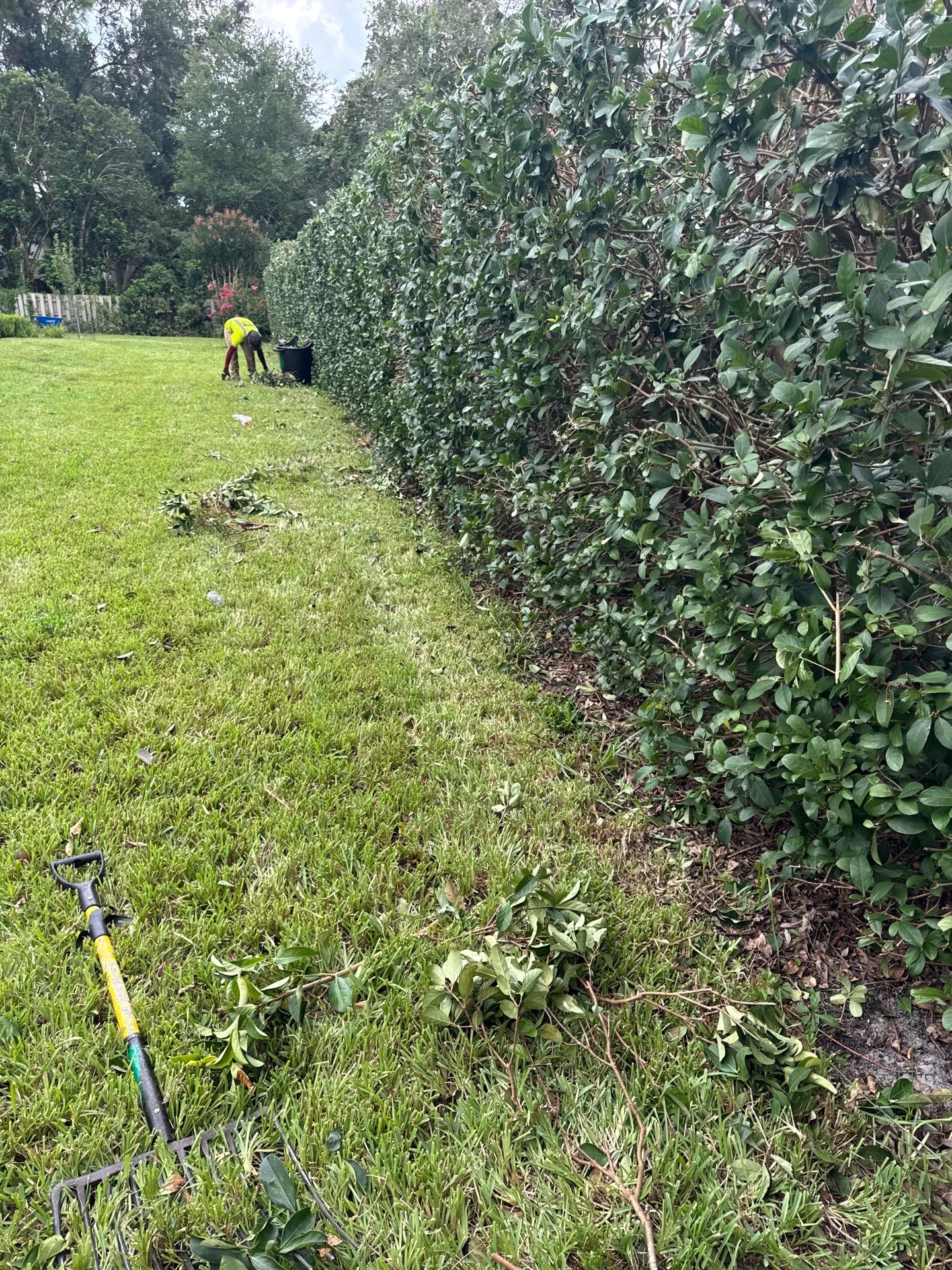 Deerwood Resident | Shrub Trimming by ProGreen Services