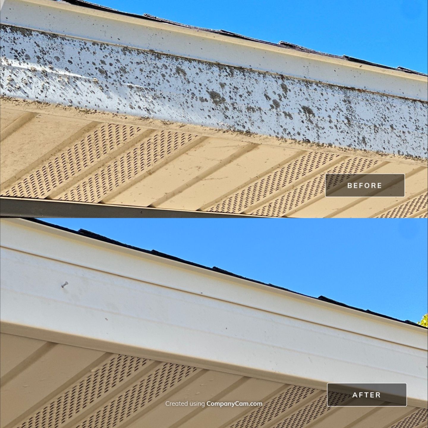 Project in Genoa City by Simmons Power & Soft Washing