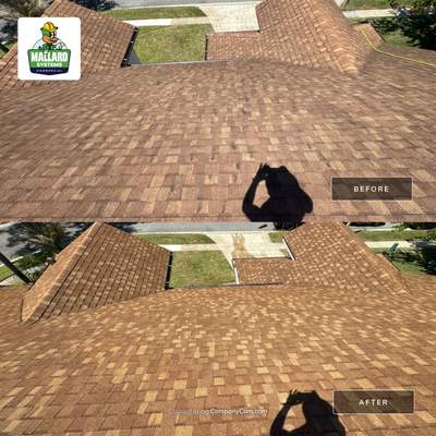 Shingle Roof Cleaning