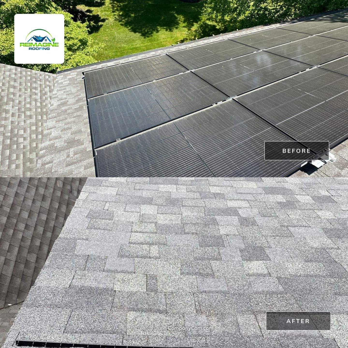 Silver Birch Shingles by Reimagine Roofing