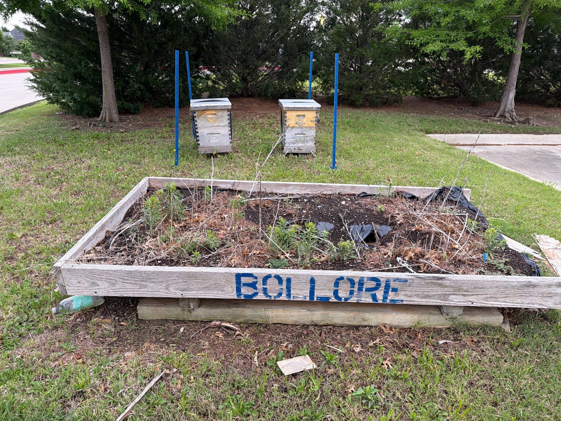 Bees by the Lot by Rockwall Honey Bee Company