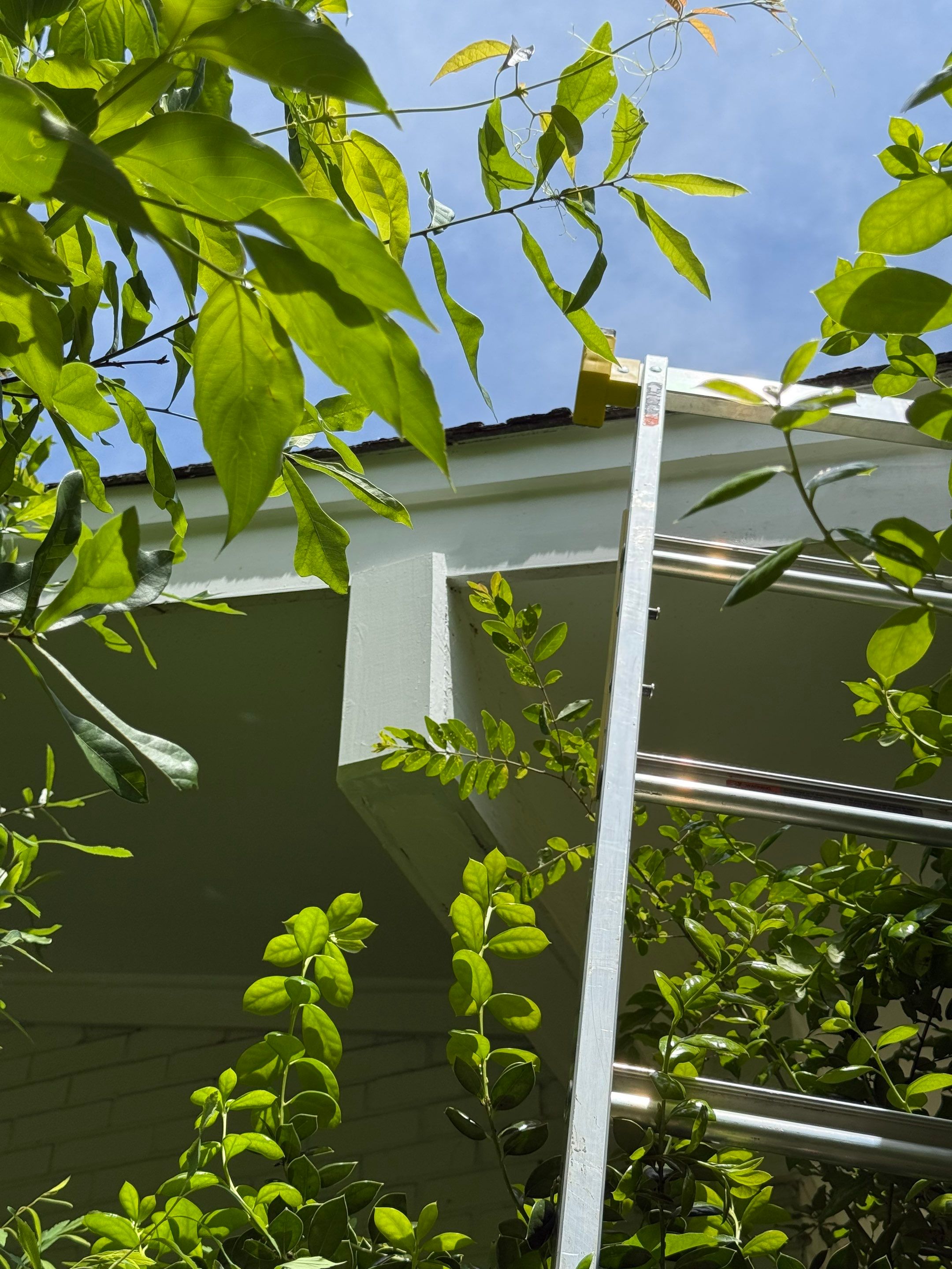 Exterior Wood Replacement and Fascia Repairs in Oxford by PGP Surface Solutions, LLC