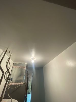 Mitigation/Restoration Project