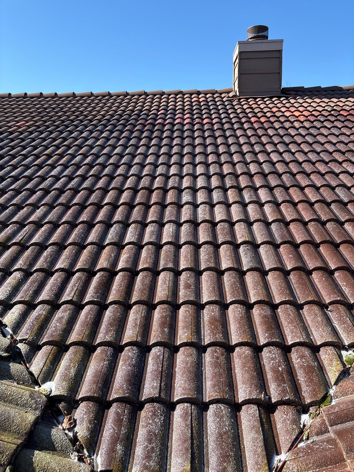 Soft Wash by Top Elevation