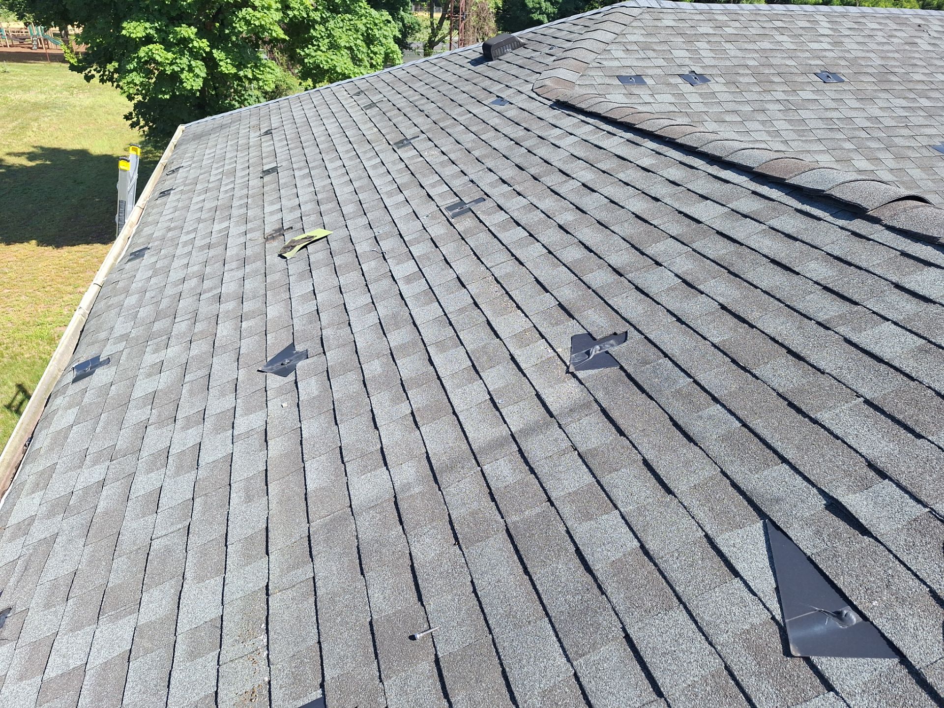 Silver Birch Shingles by Reimagine Roofing