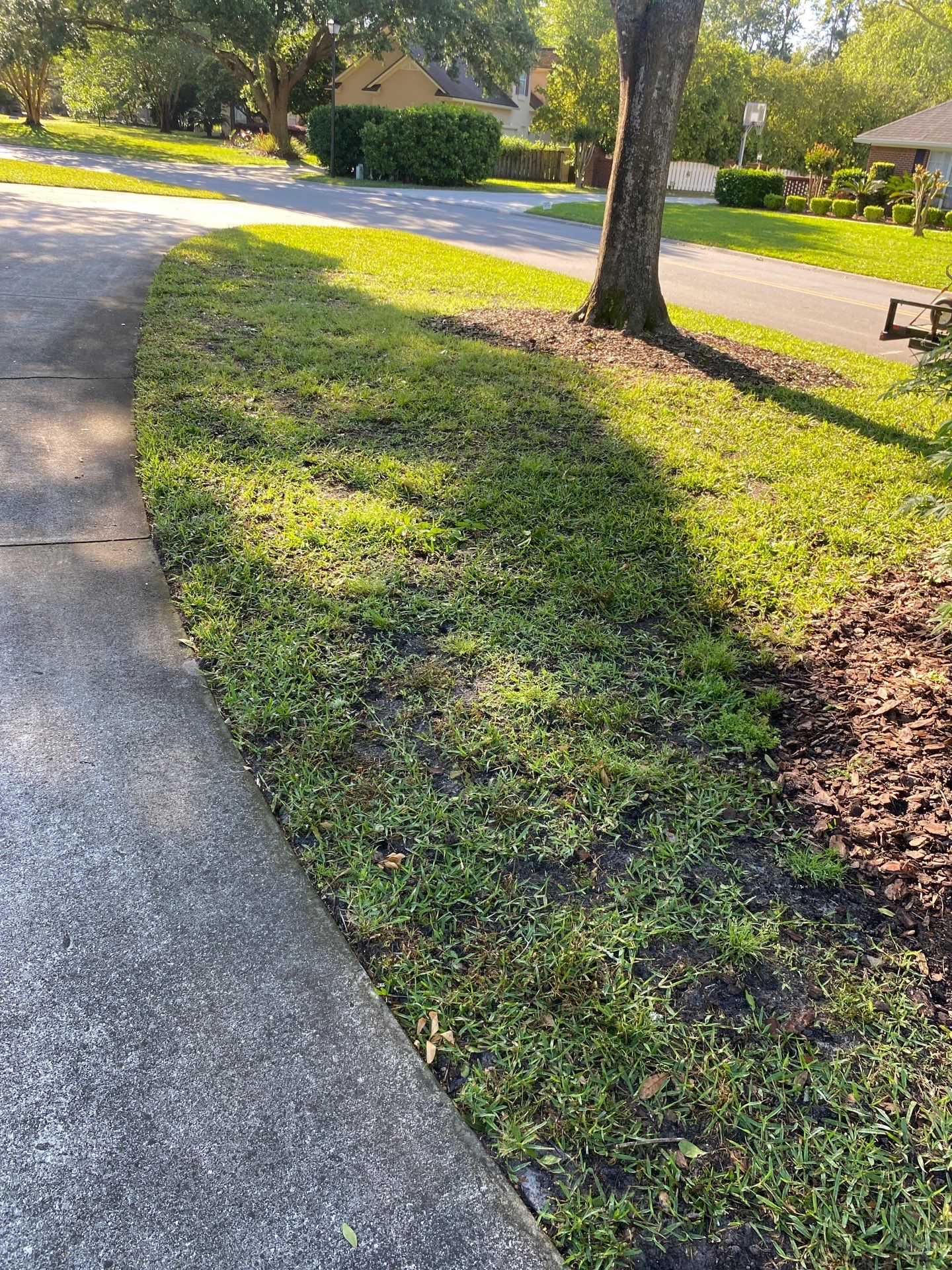 Deerwood Resident | Tree Trimming and Sod Installation) by ProGreen Services
