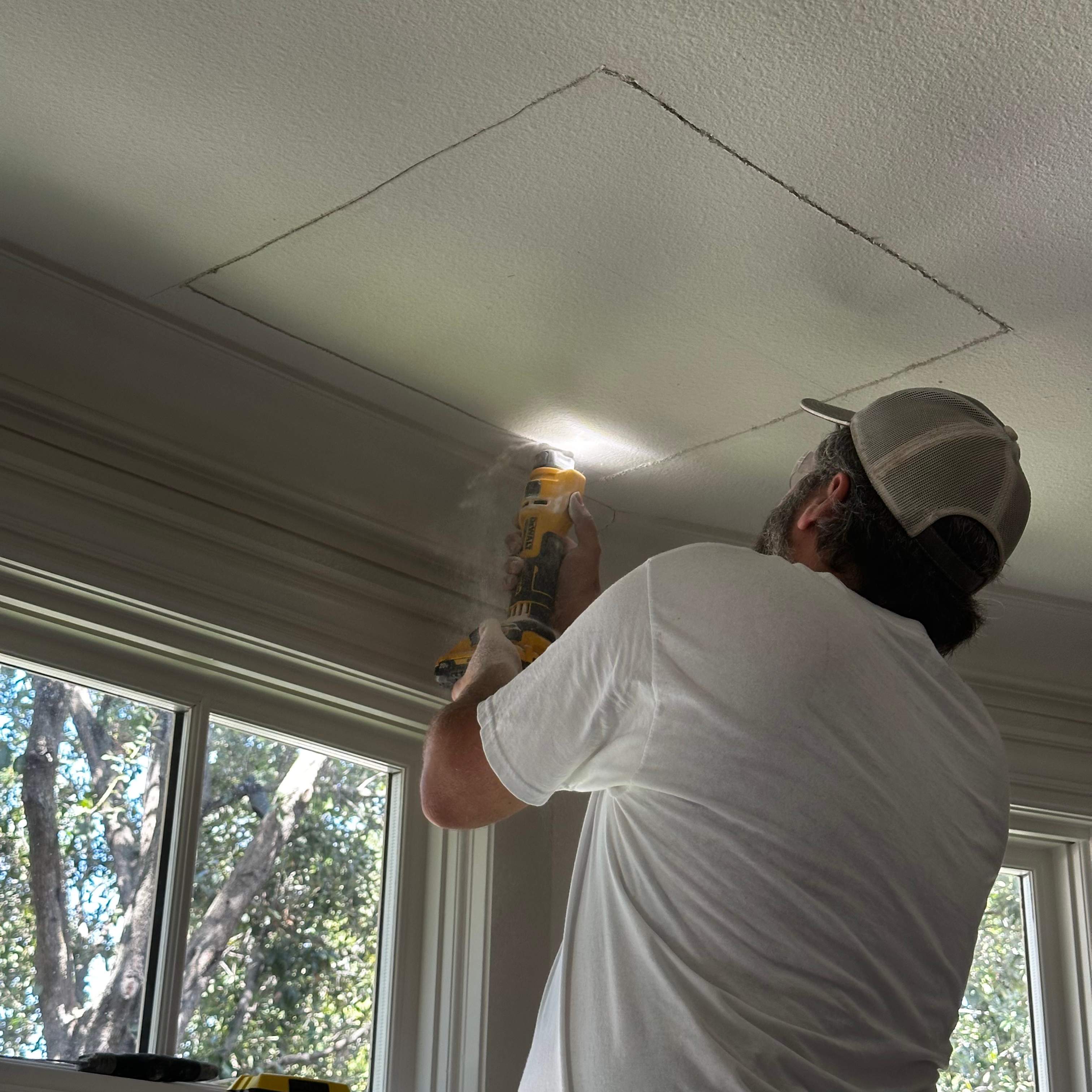 Ceiling Cutout by Rockwall Honey Bee Company