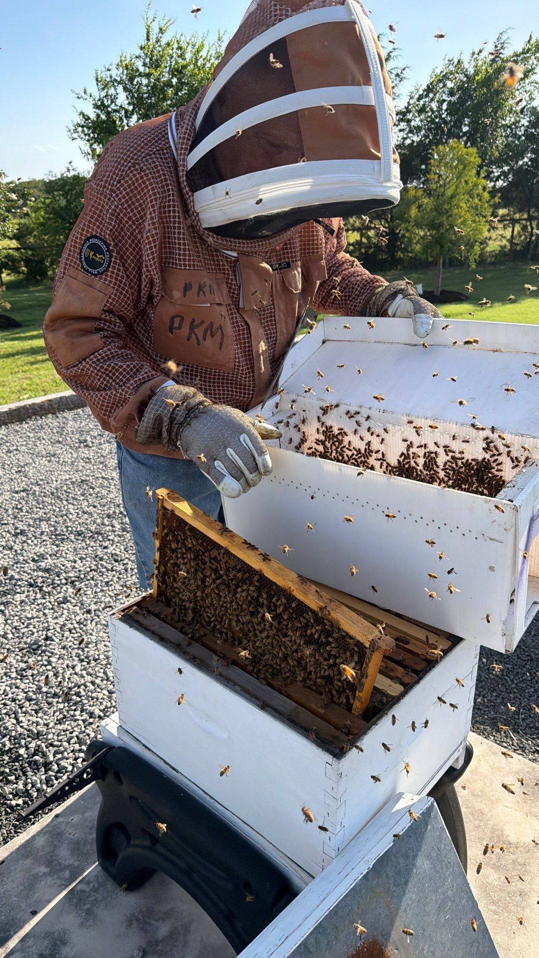 Momma K’s apiary by Rockwall Honey Bee Company