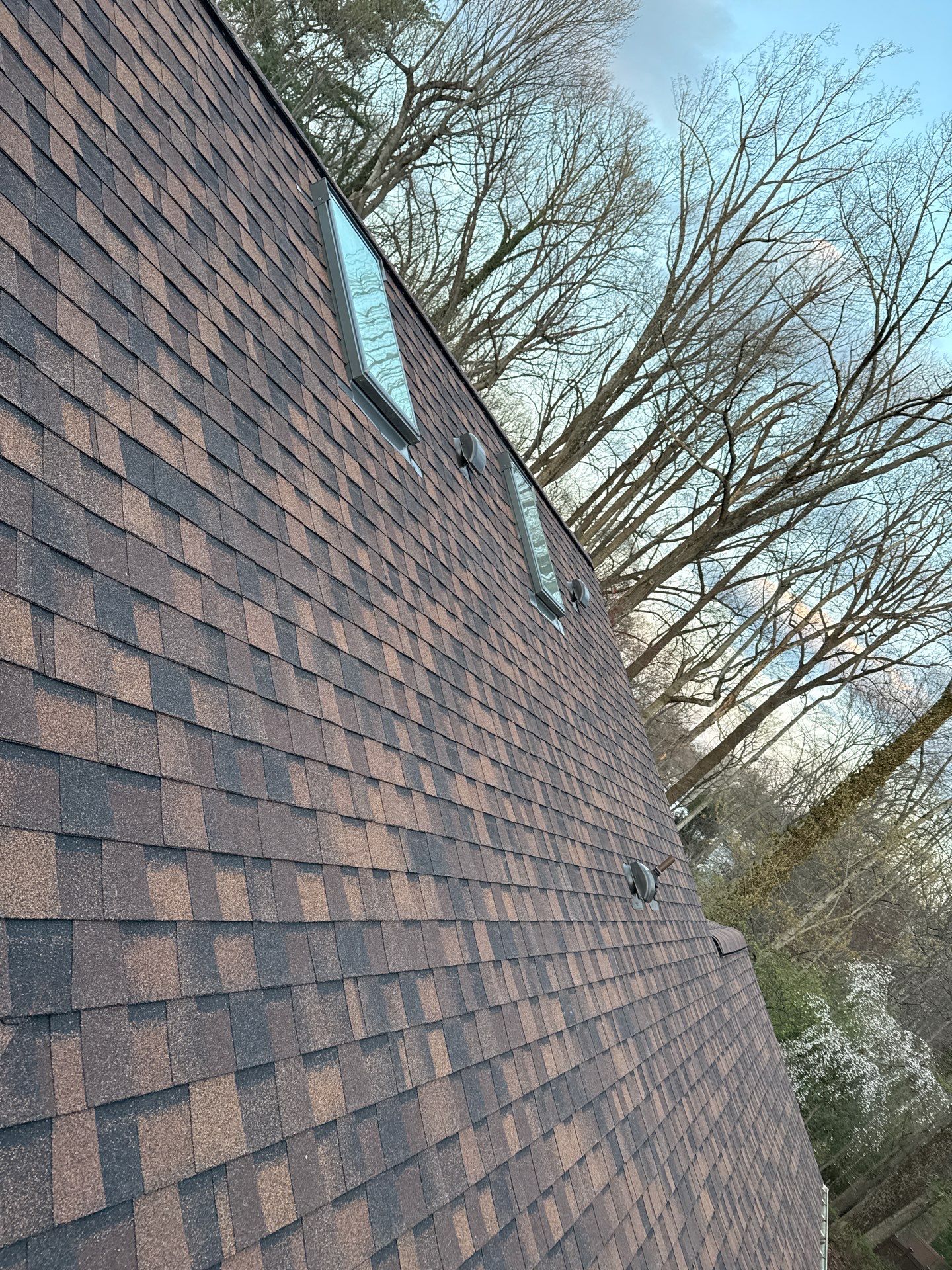 Fairfax: Residential Roof Replacement with CertainTeed Landmark Pro in Max Def Burnt Sienna by RM Banning, Inc.