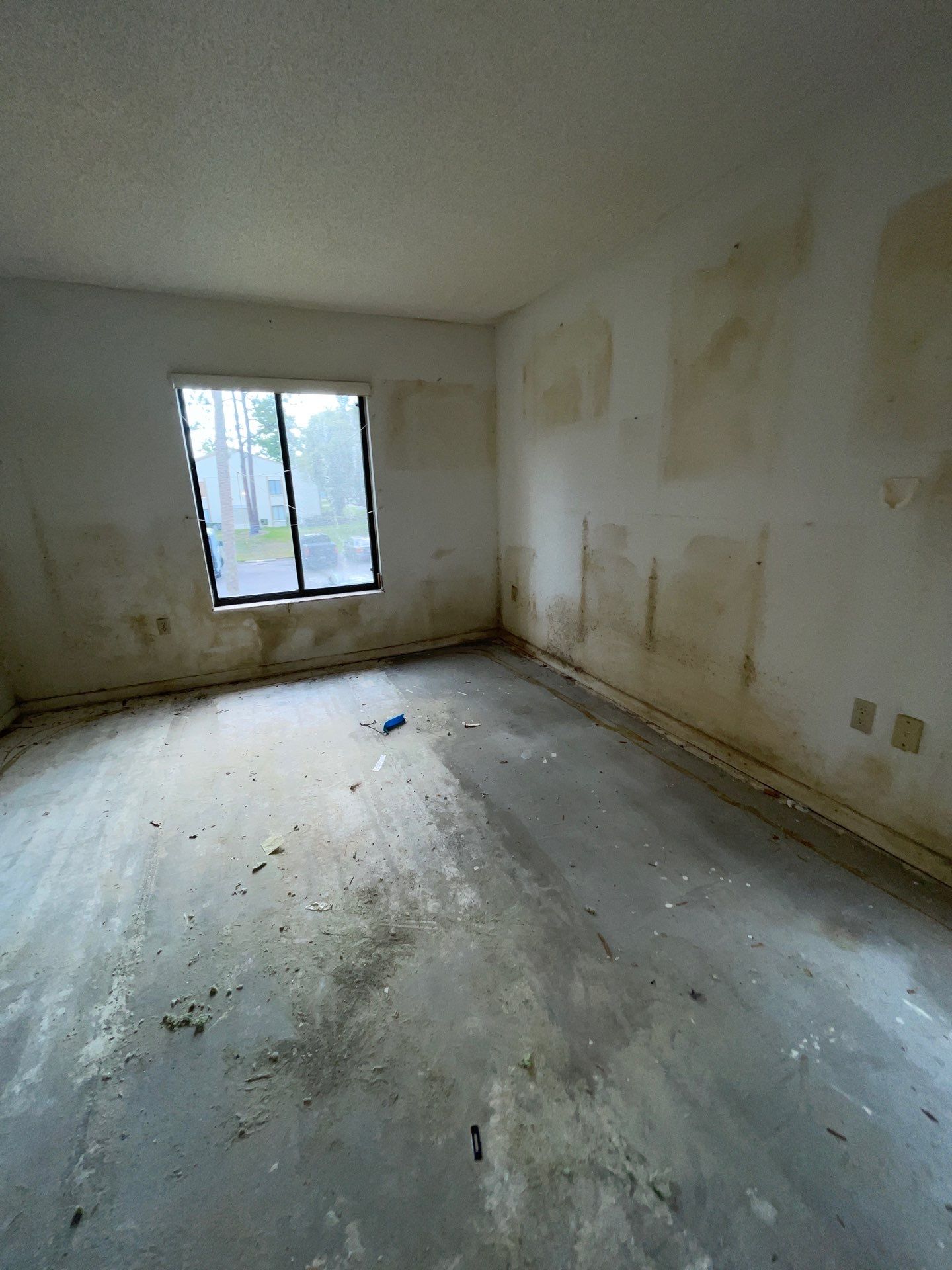 Horder house with Mold and Bacterial Contamination Issues  by Bay Coast Restoration 