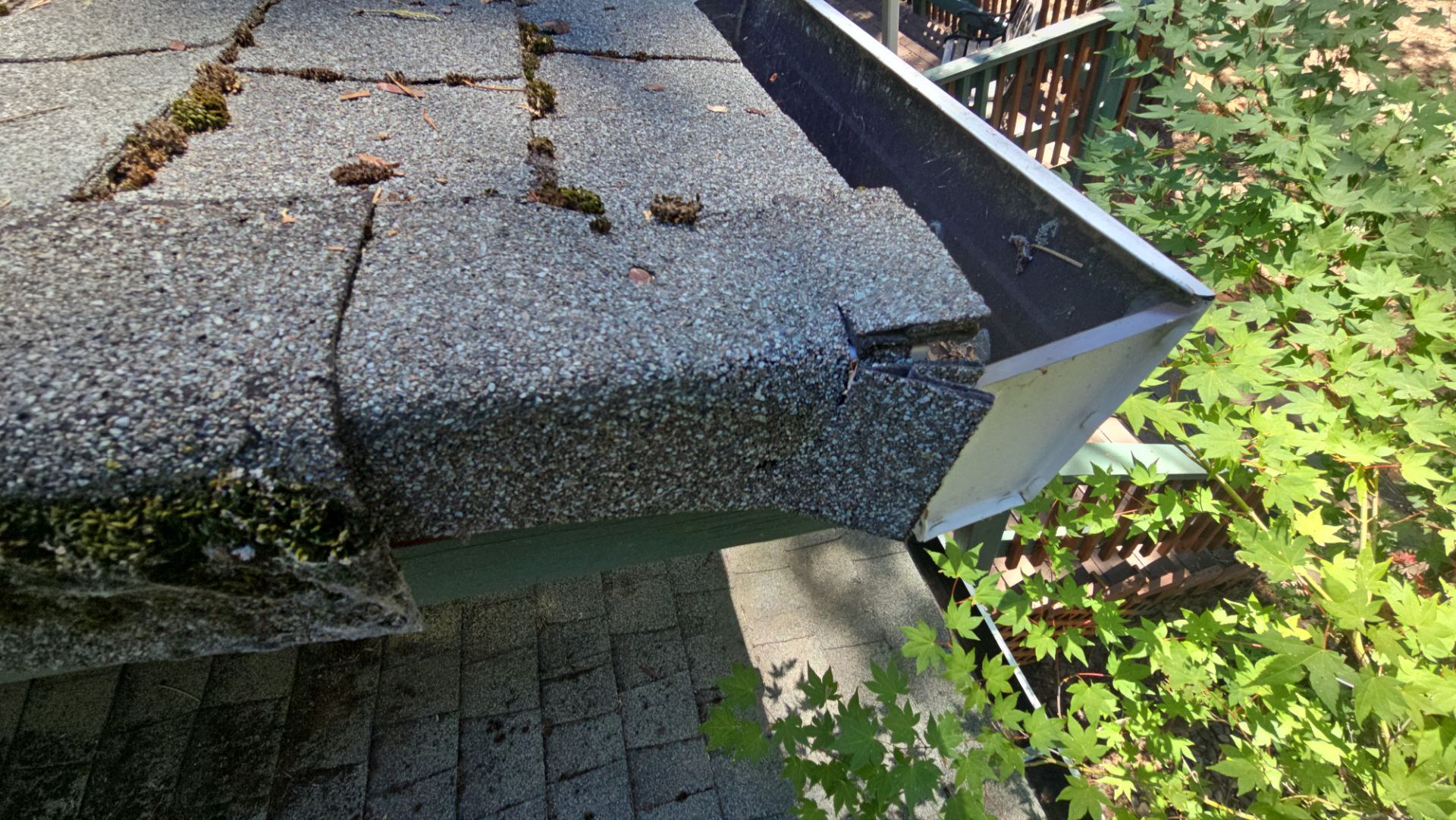 Roof Rejuvenation using Roof Maxx Treatment by Roof Maxx of Folsom