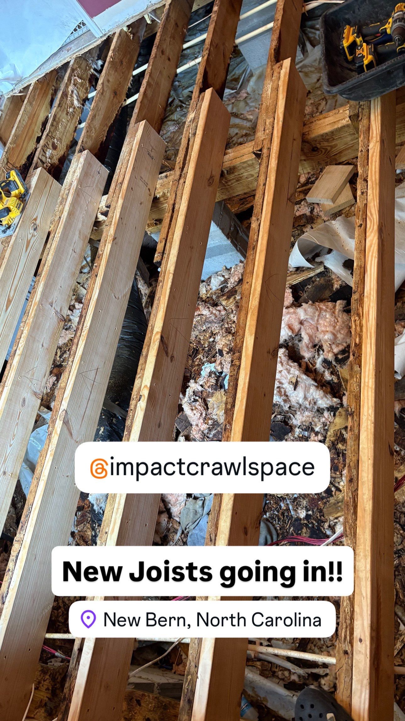 Moisture Barrier, Mold Clean, Structural Repair, Dehumidifier, R19 Insulation. by Impact Crawlspace