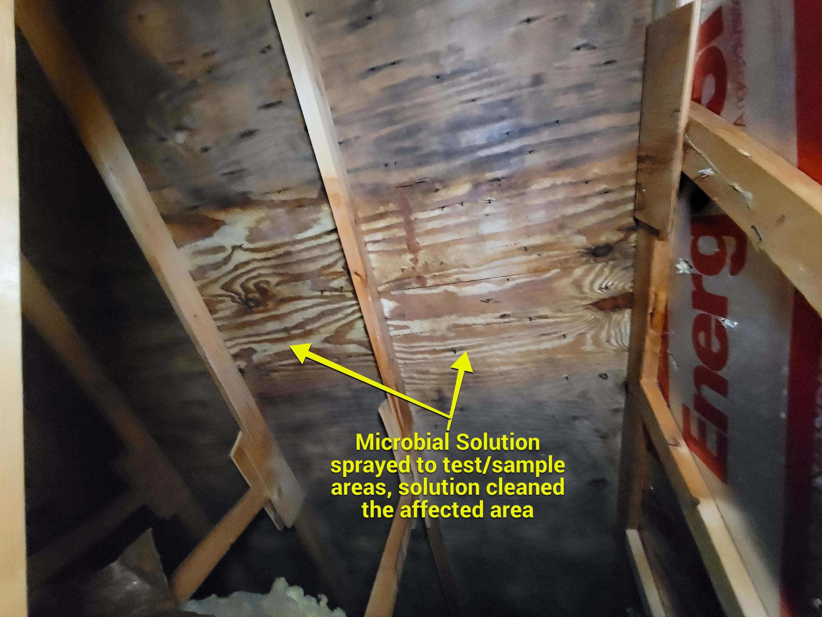 Attic Mold Remediation by Chicagoland Water Medics
