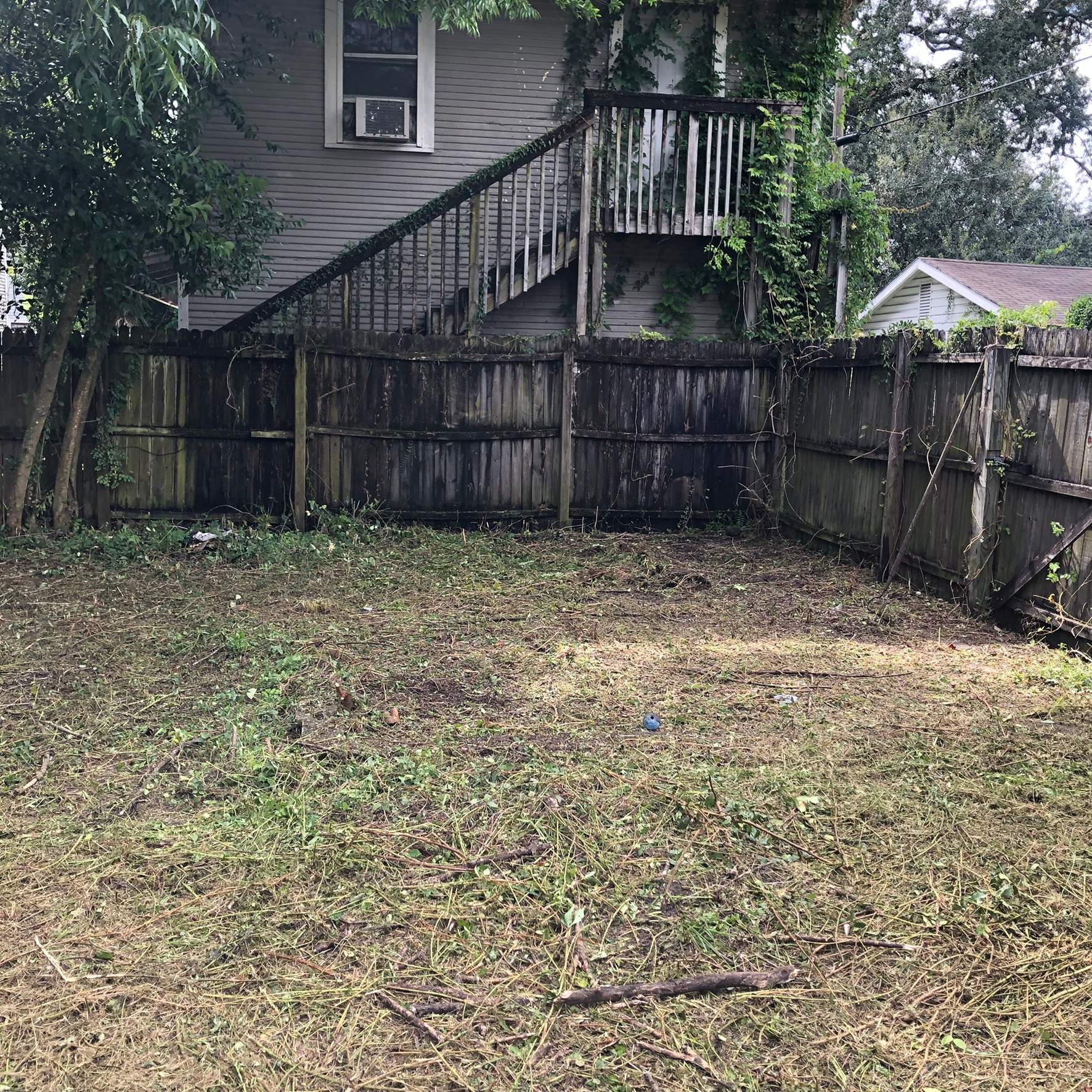 Extreme Clean Up | Riverside Area by ProGreen Services