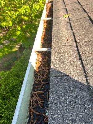 Turtle Shell gutter protection installation in Naperville, IL 60565, photograph 9