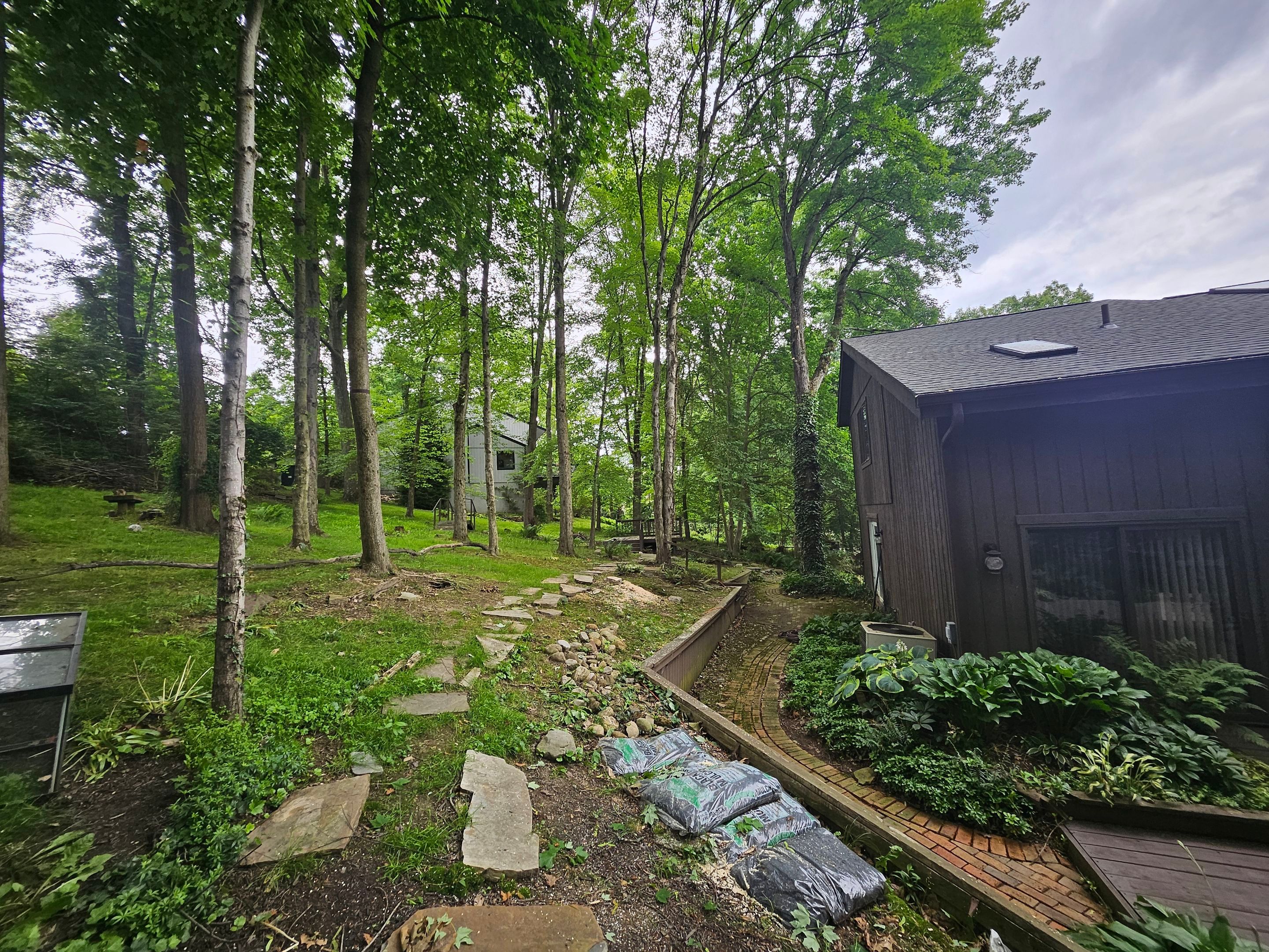 Tree Trimming using Tree Pruing by Mike Jones & Sons Tree Service LLC 