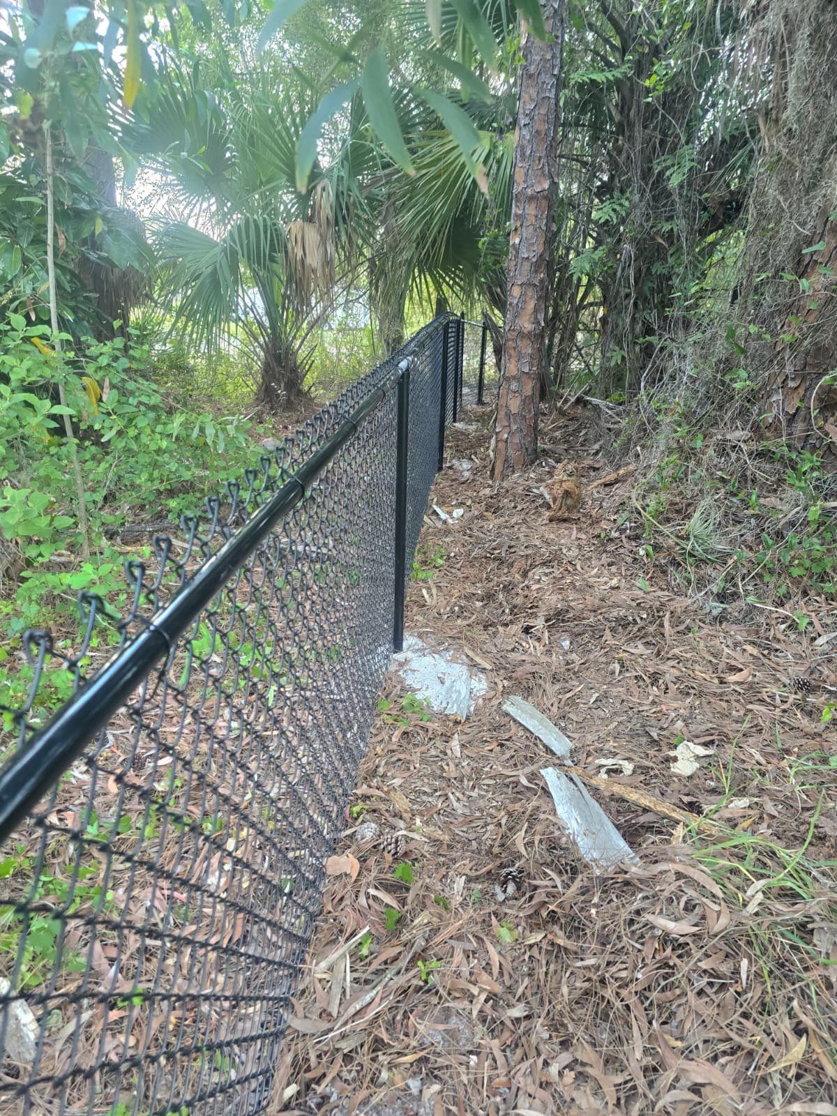 Chain Link Fence in Naples by True Fence LLC