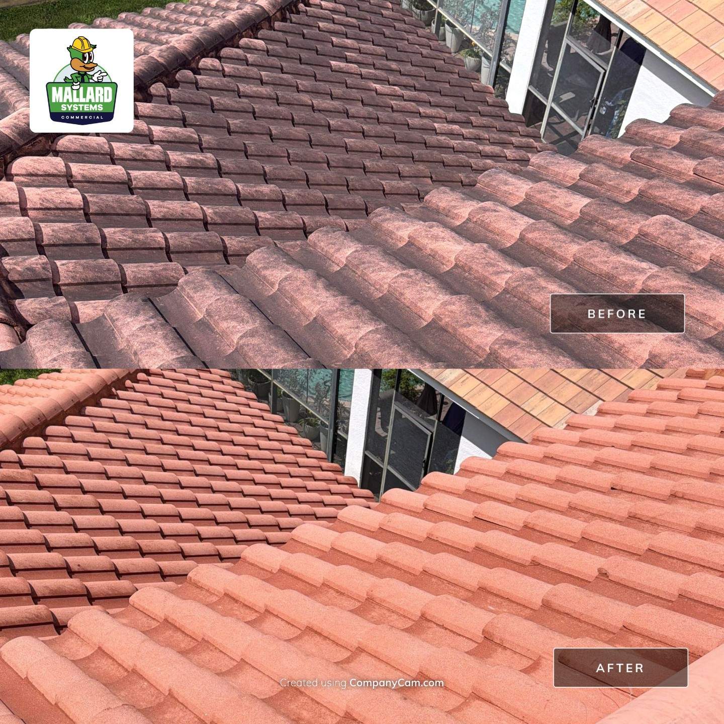 Tile Roof Cleaning in Dr. Phillips by Mallard Systems