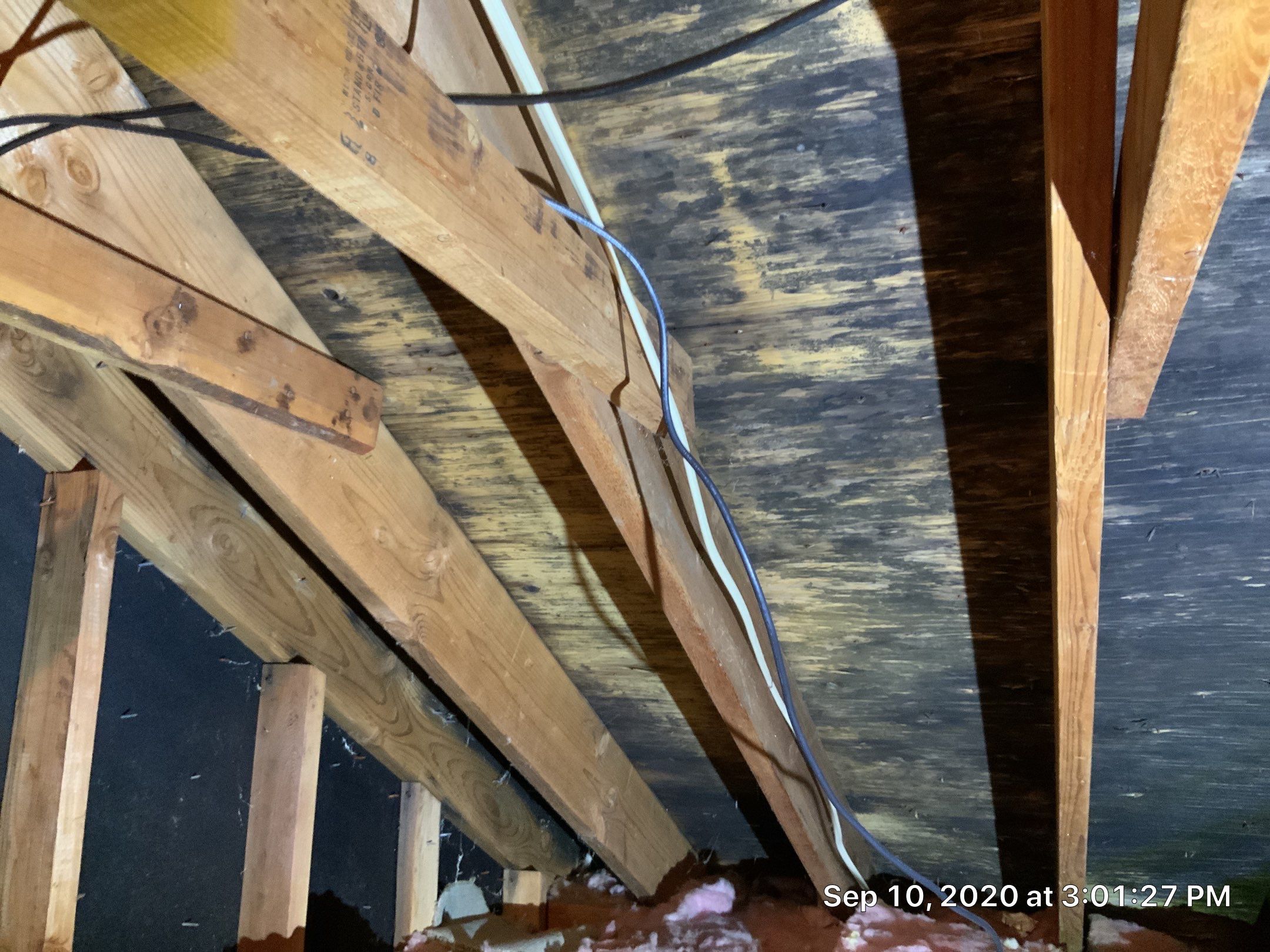 Attic Mold Remediation Job in Vernon Township, NJ by Pure Service Pro, LLC 